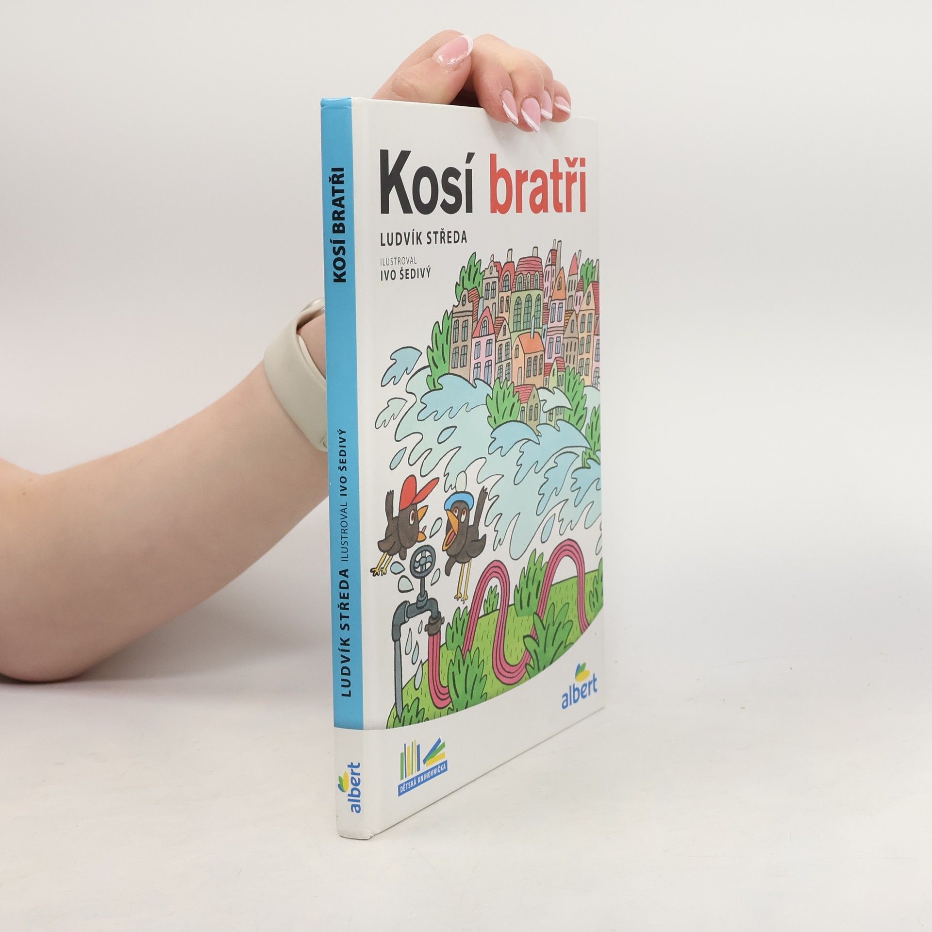 Ludvík Středa Kosí bratři