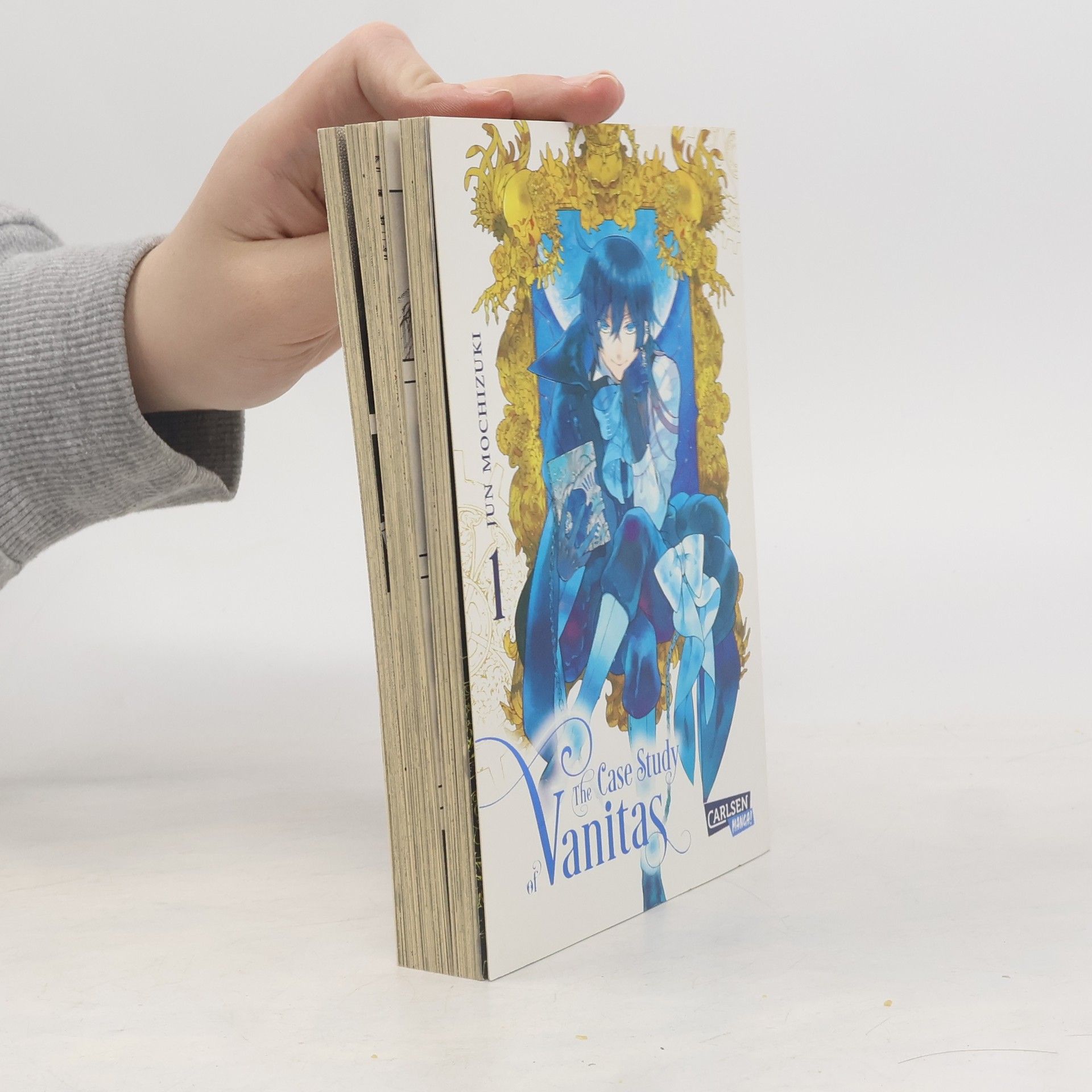Jun Mochizuki The case study of Vanitas 1