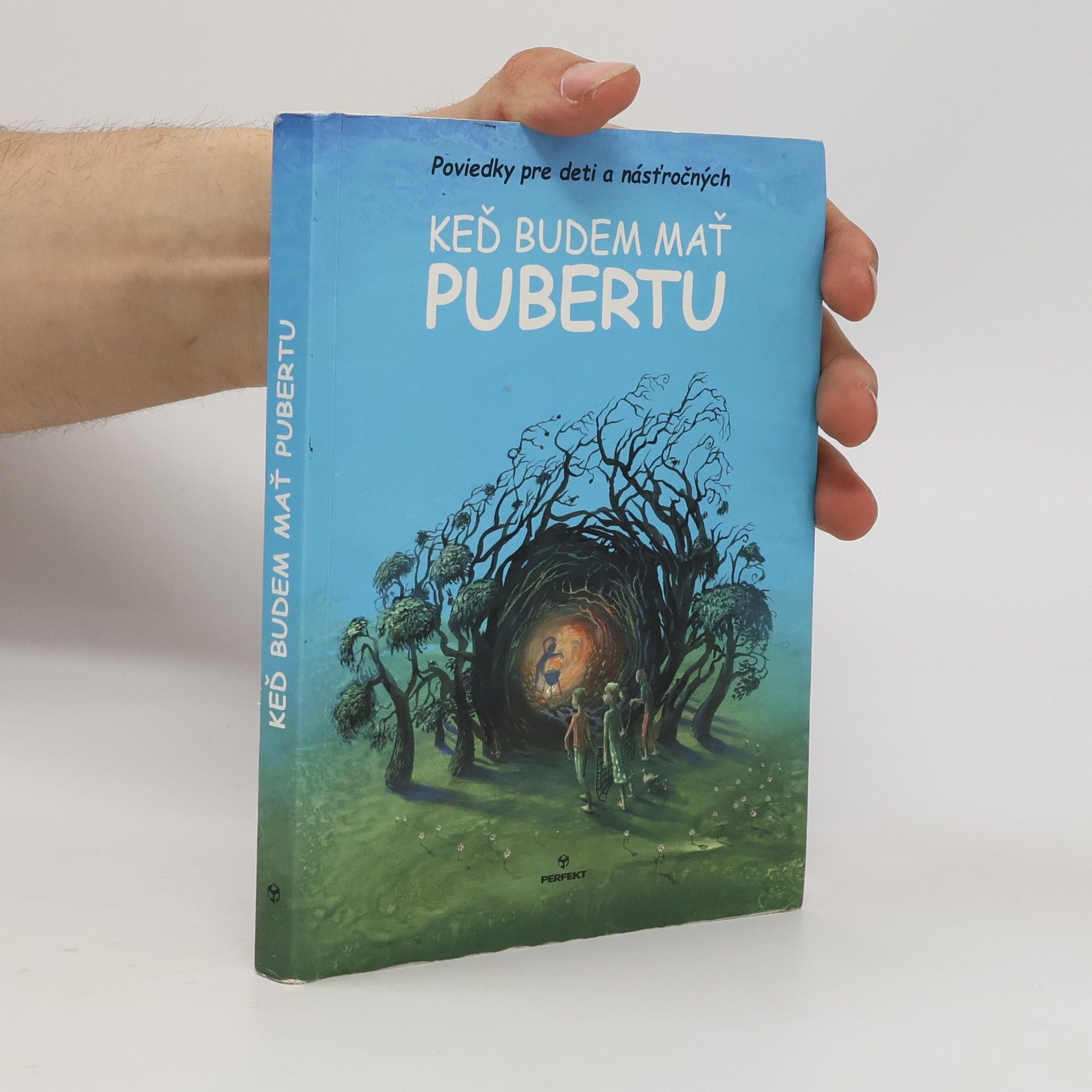 Kolektív autorov Keď budem mať pubertu