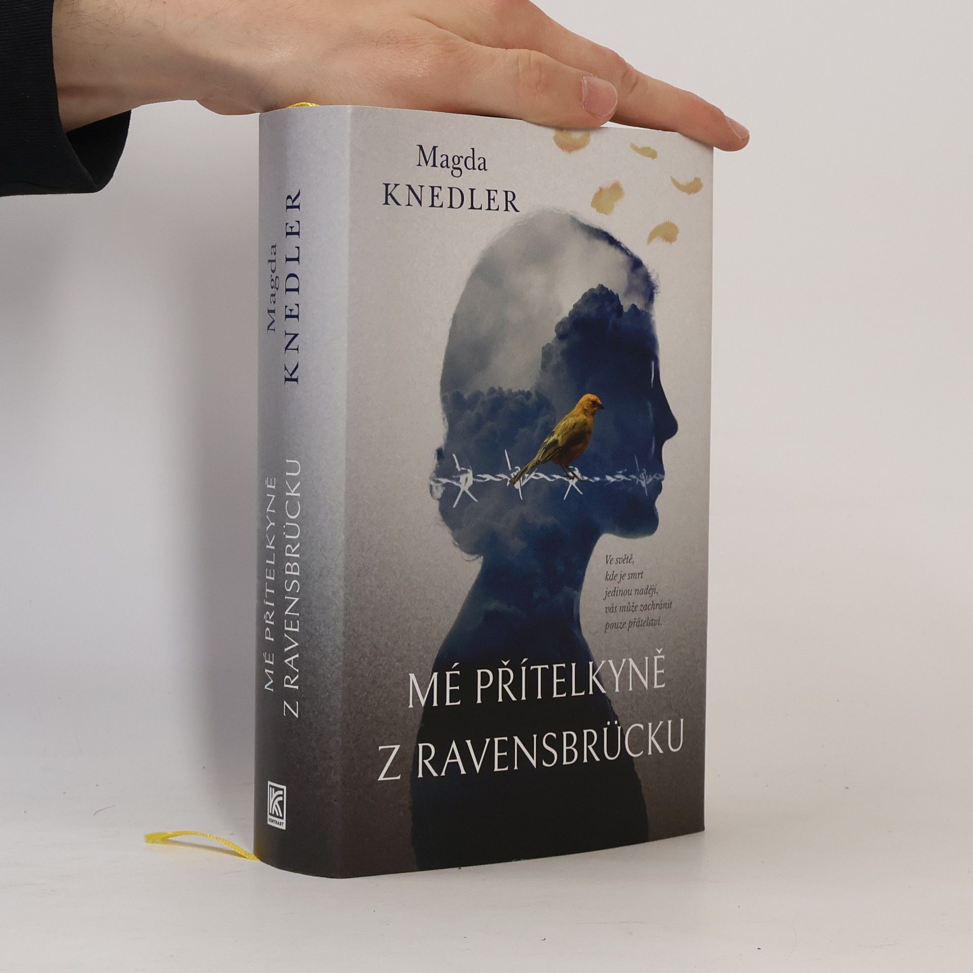 Magdalena Knedler Mé přítelkyně z Ravensbrücku