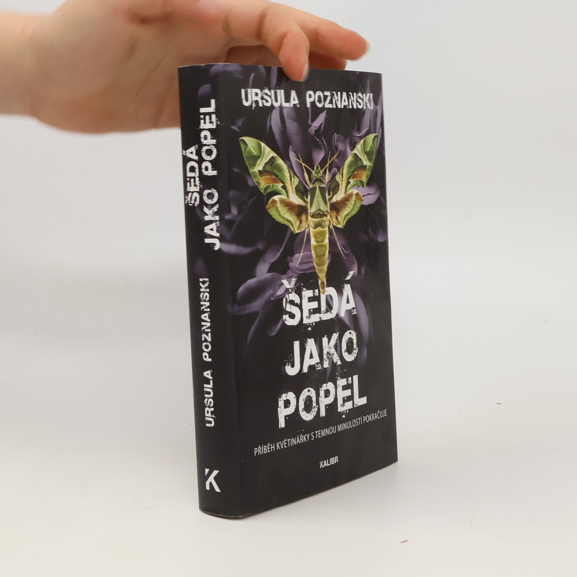 Ursula Poznanski Šedá jako popel