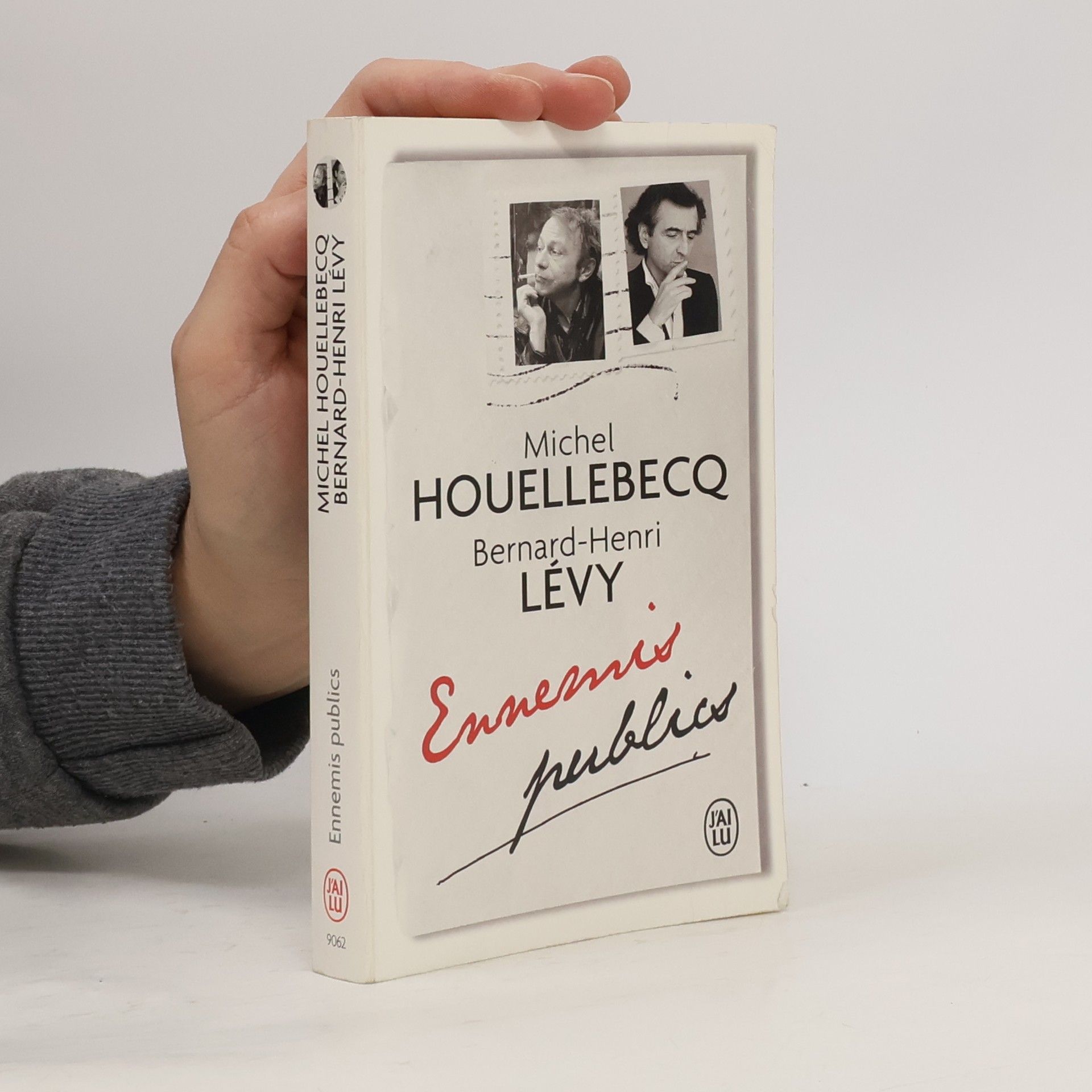 Michel Houellebecq Ennemis publics
