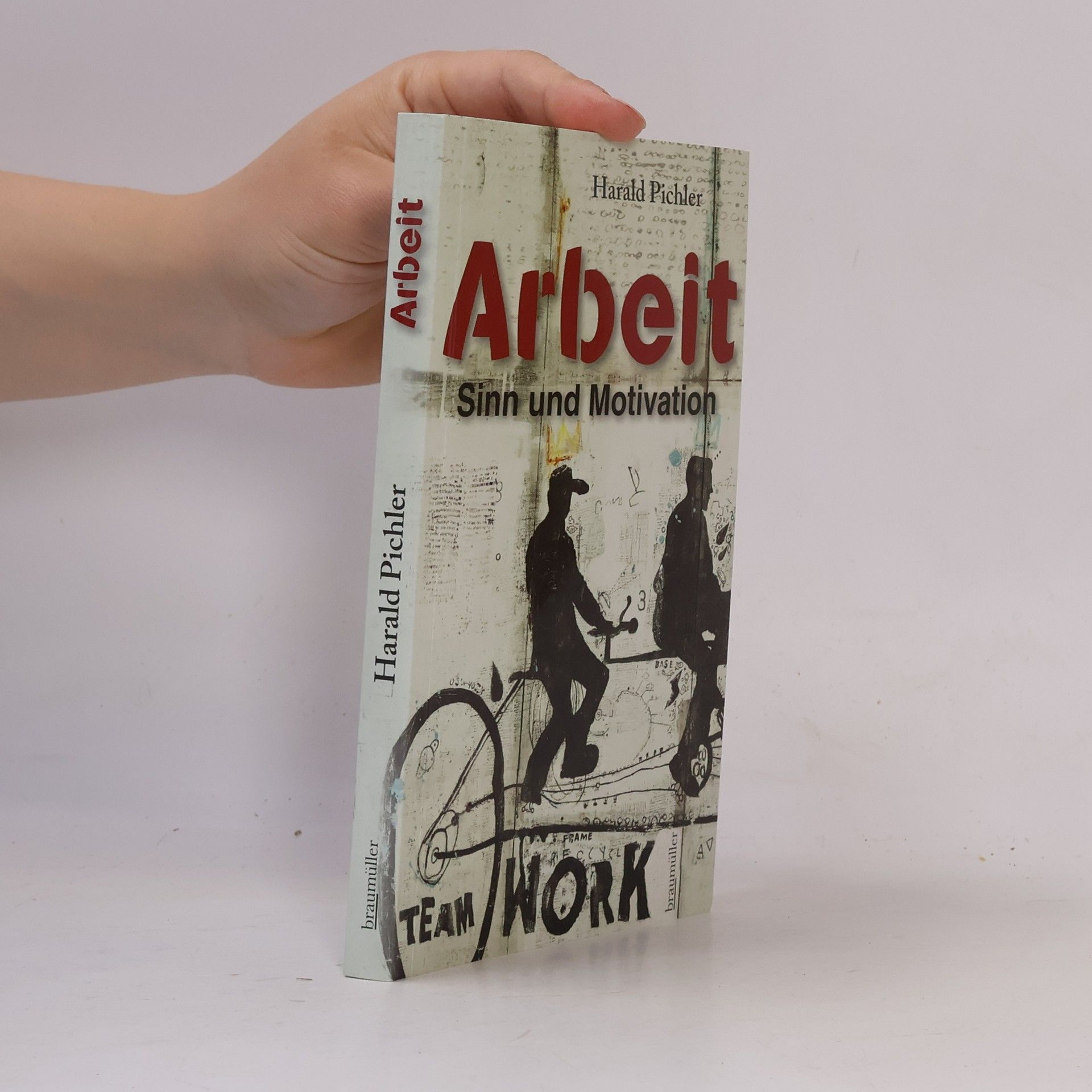 Harald Pichler Arbeit