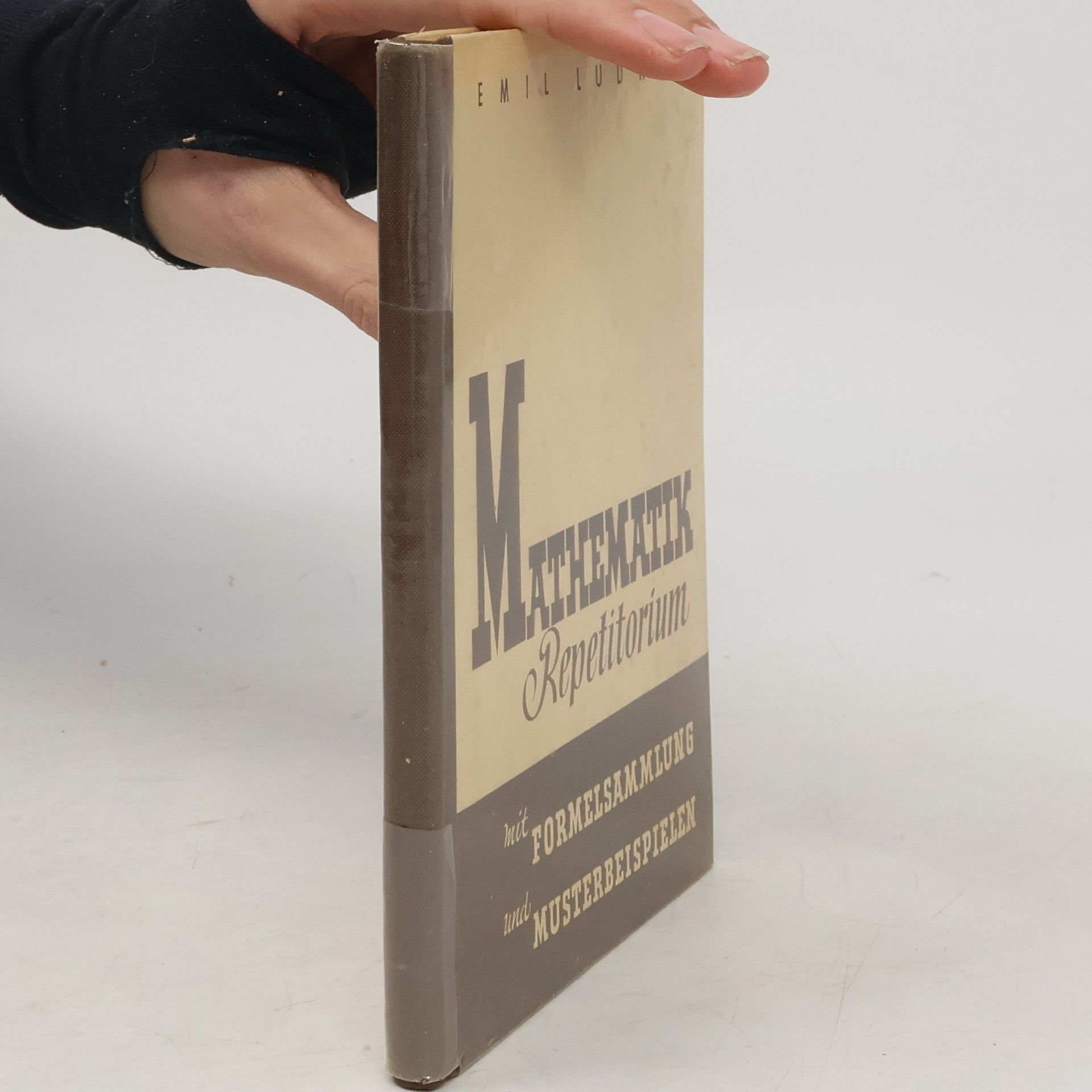 Emil Ludwig Mathematik Repetitorium