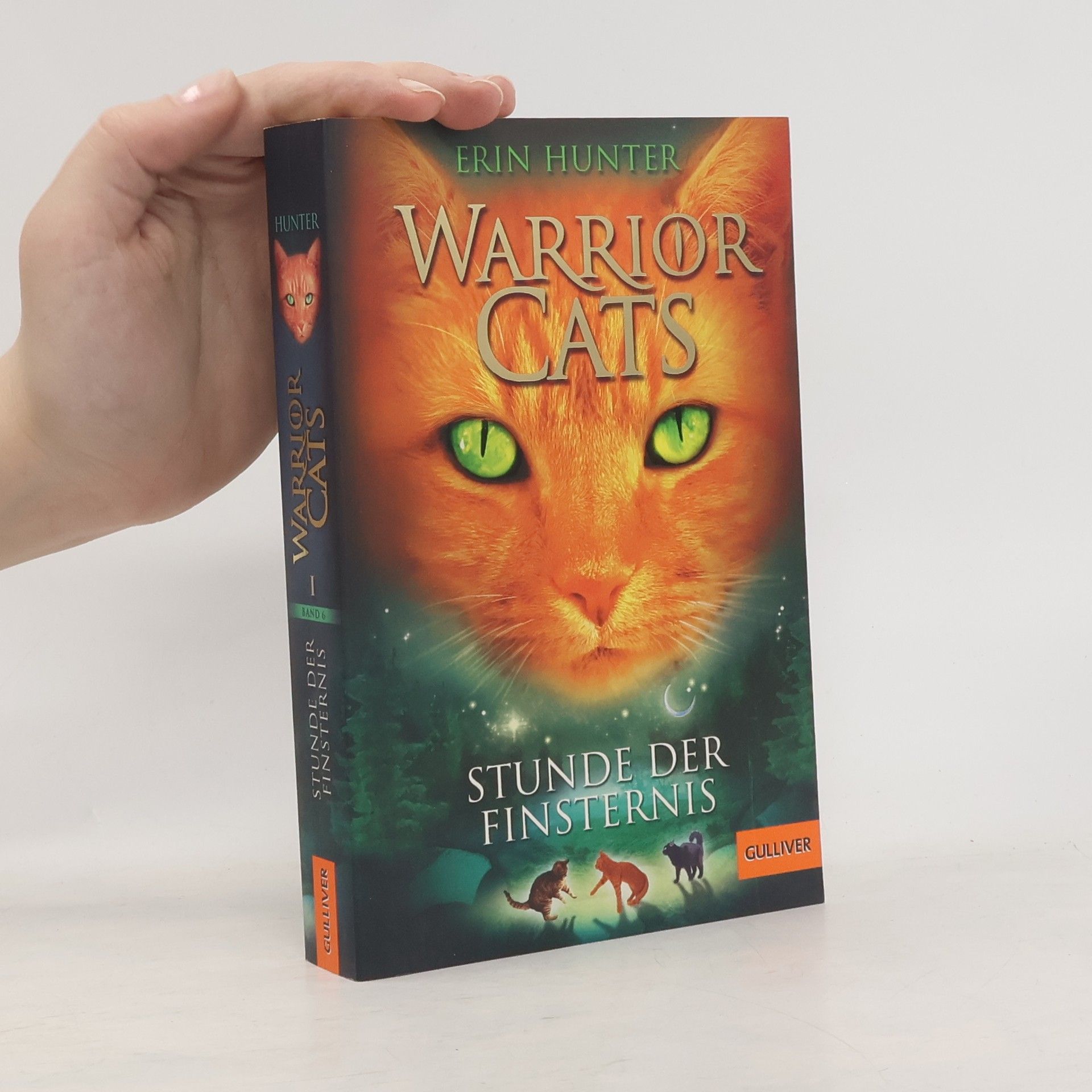 Erin Hunter Stunde der Finsternis
