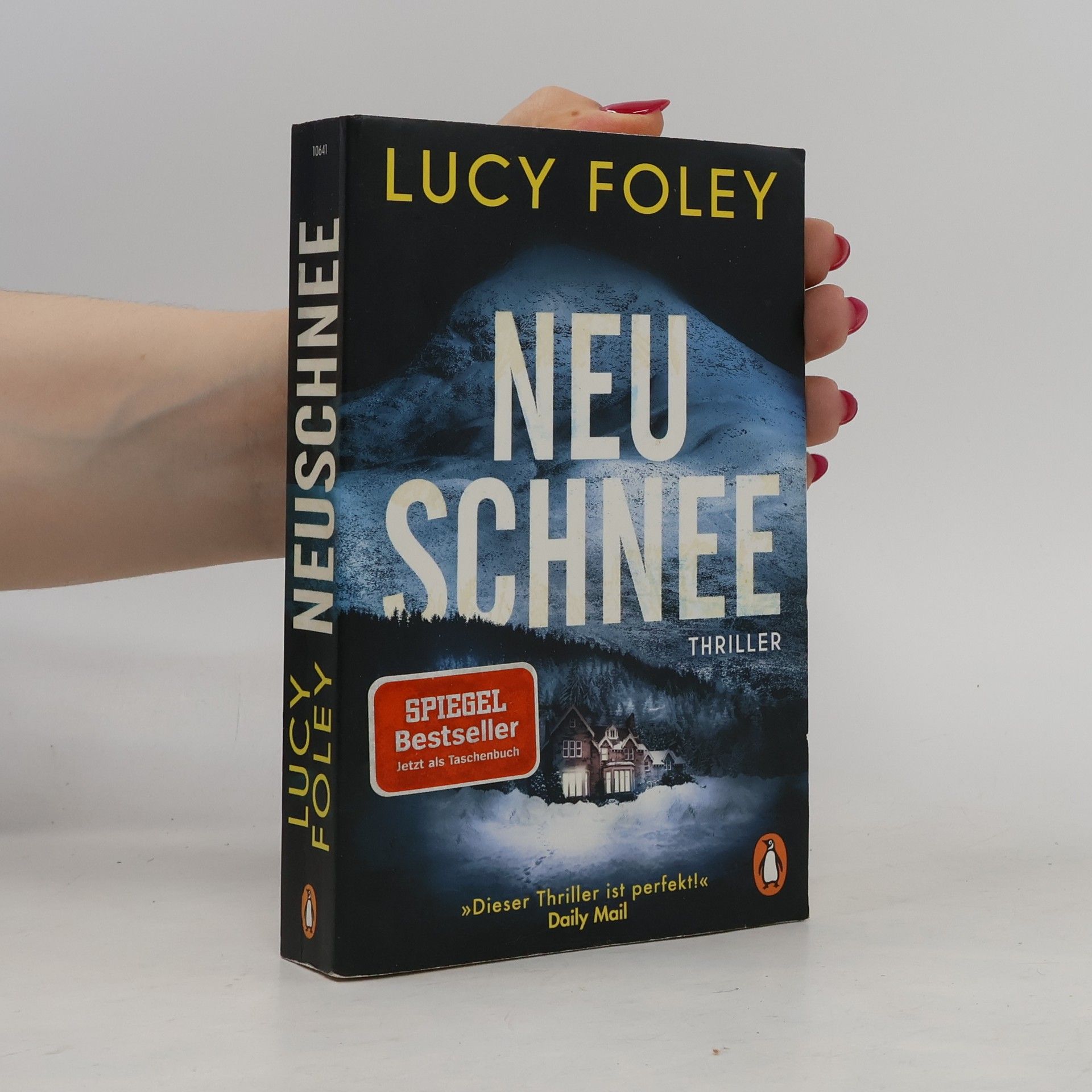 Lucy Foley Neuschnee