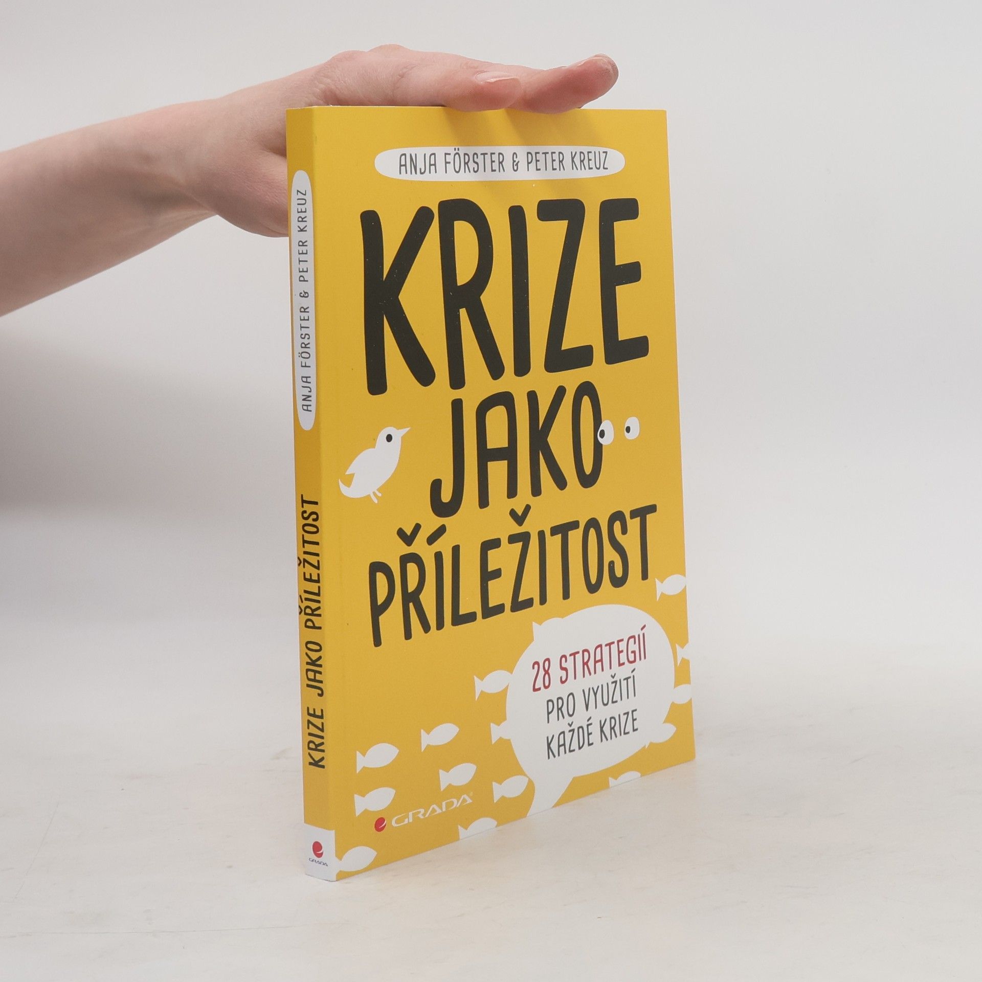 Anja Förster Krize jako příležitost : 28 strategií pro využití každé krize