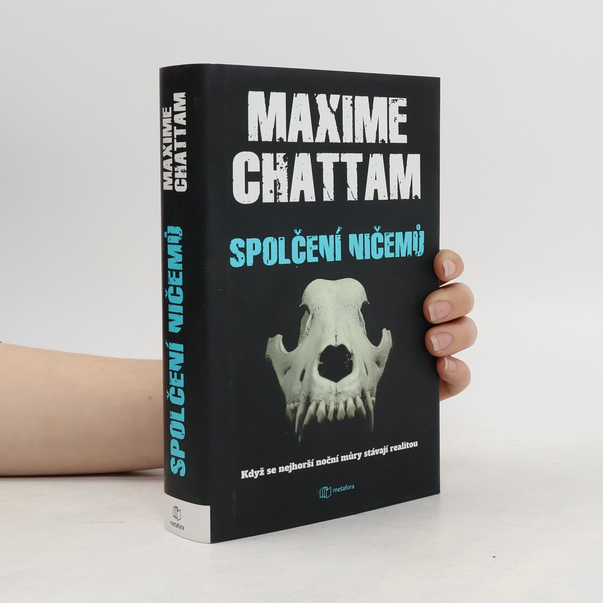 Maxime Chattam Spolčení ničemů