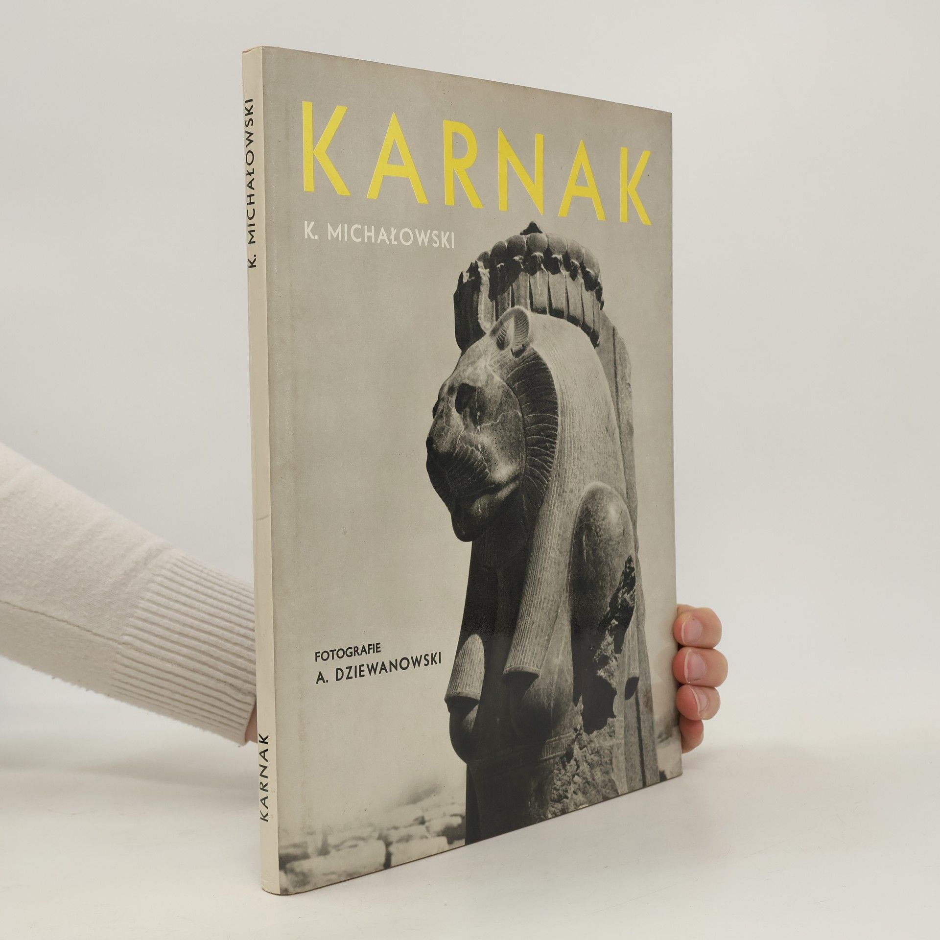 Andrzej Dziewanowski Karnak