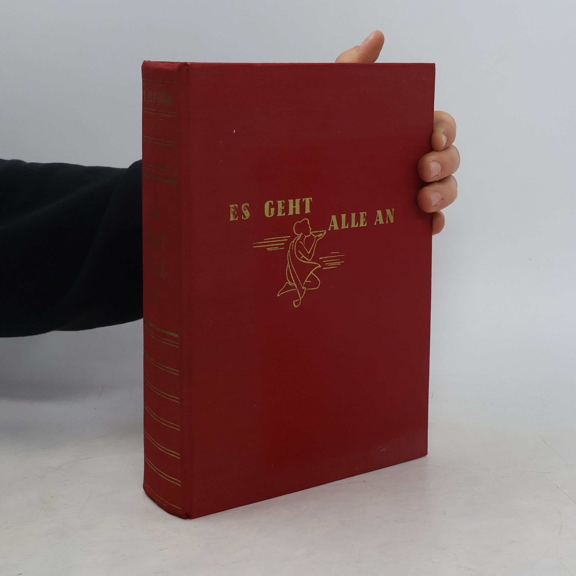 Kolektiv autorů Es geht alle an