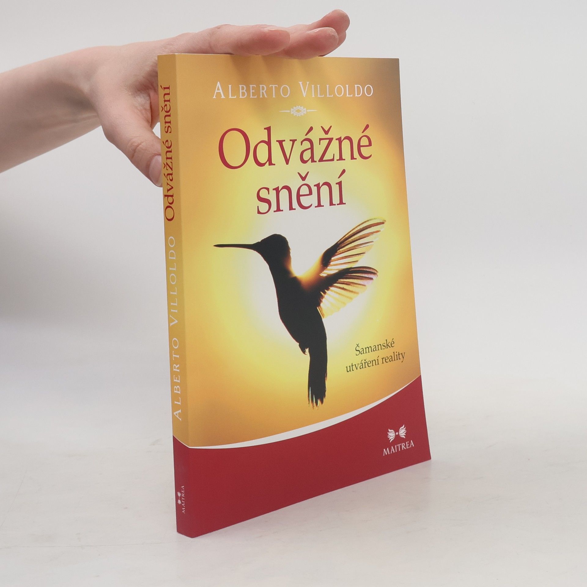 Andrea Hässelbarthová Odvážné snění : šamanské utváření reality