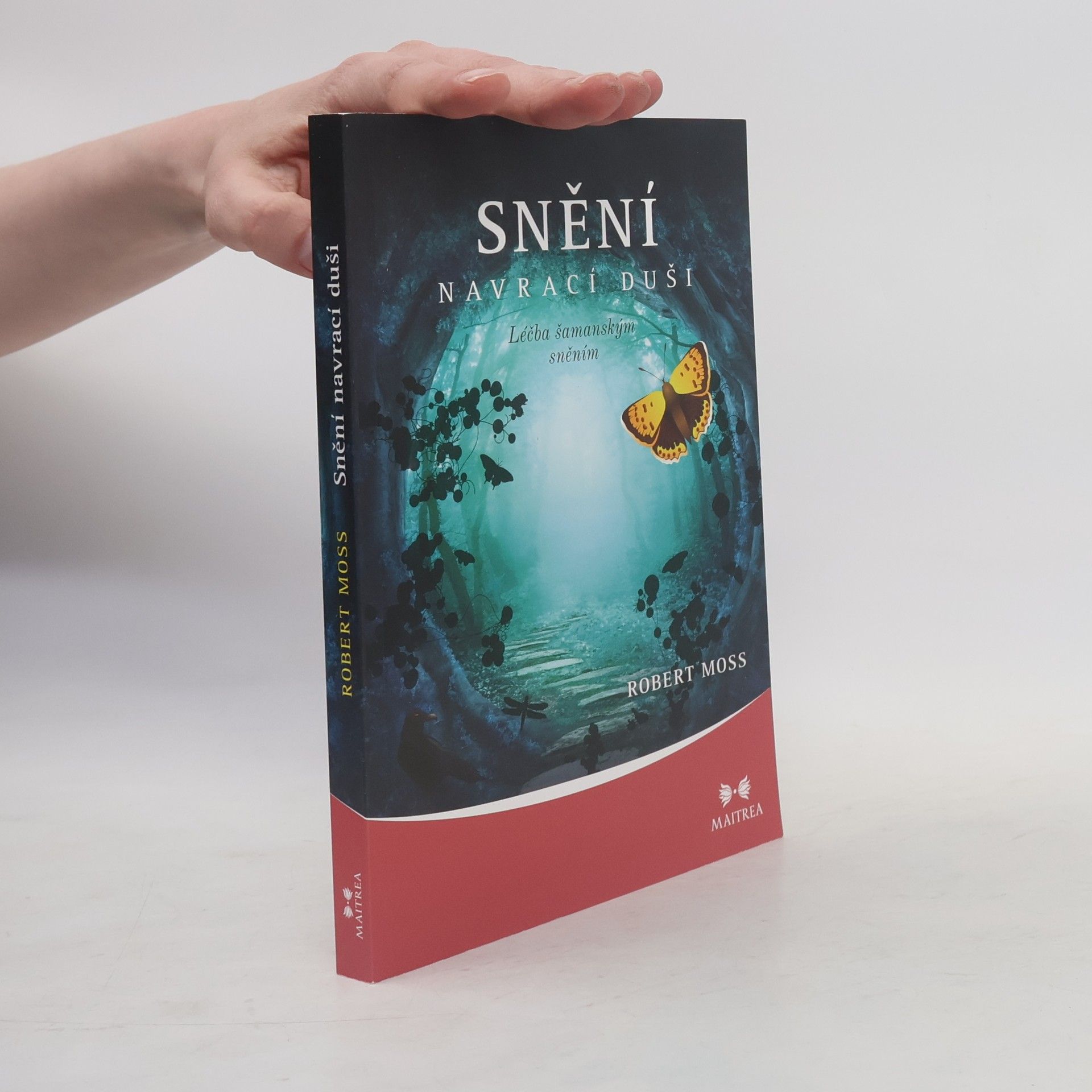Robert Moss Snění navrací duši. Léčba šamanským sněním