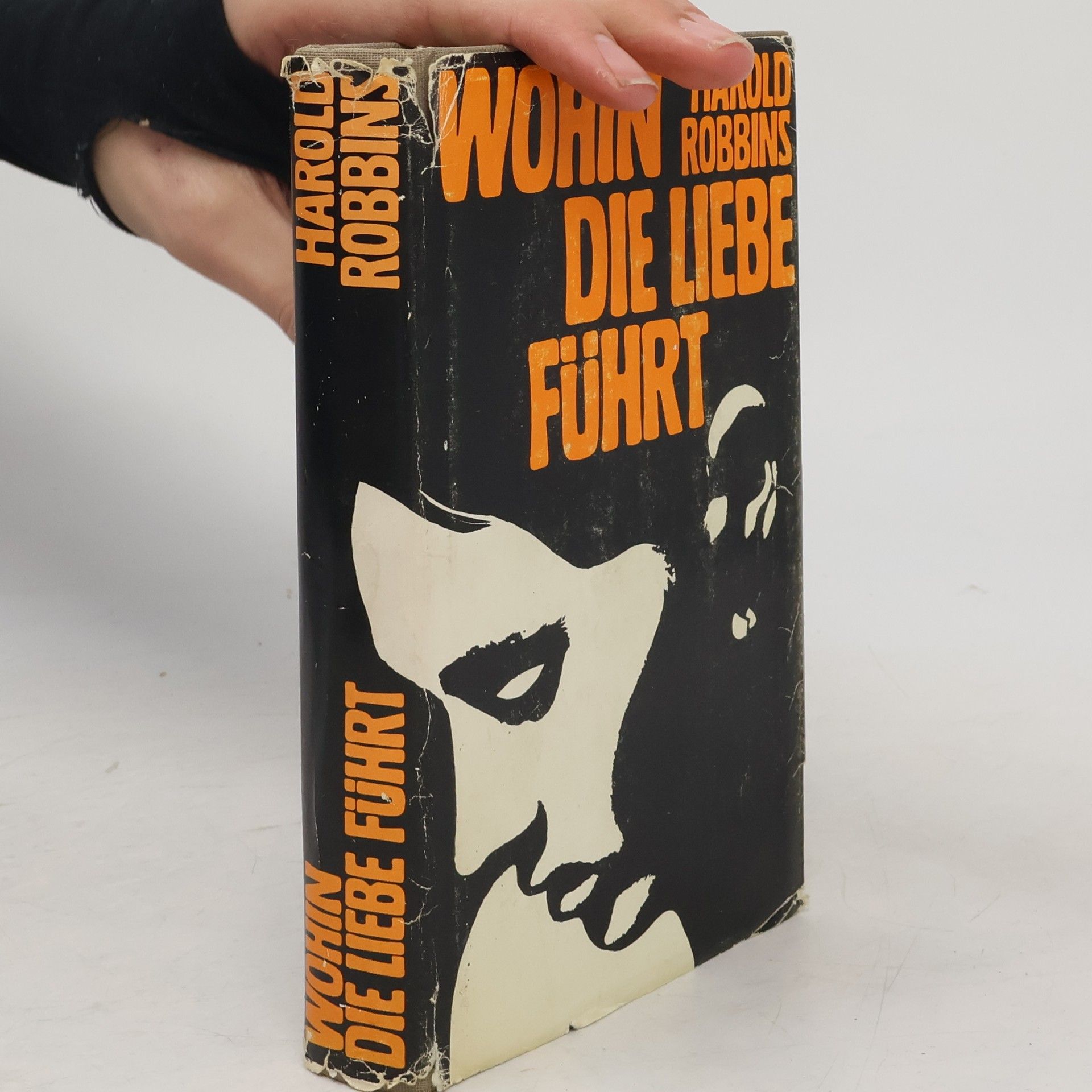 Harold Robbins Wohin die Liebe führt