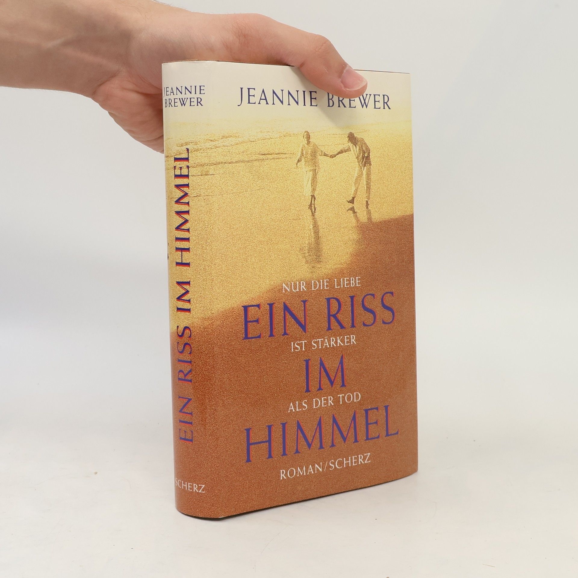 Jeannie Brewer Ein Riss im Himmel