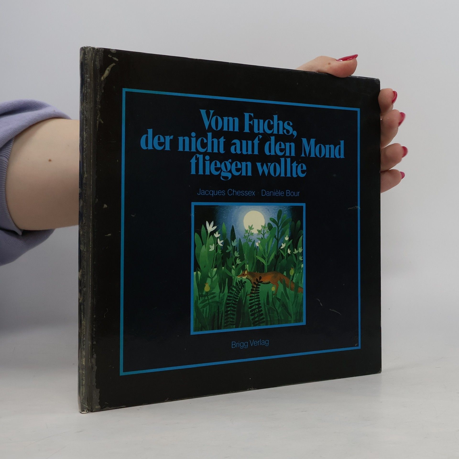 Danie le Bour Vom Fuchs, der nicht auf den Mond fliegen wollte