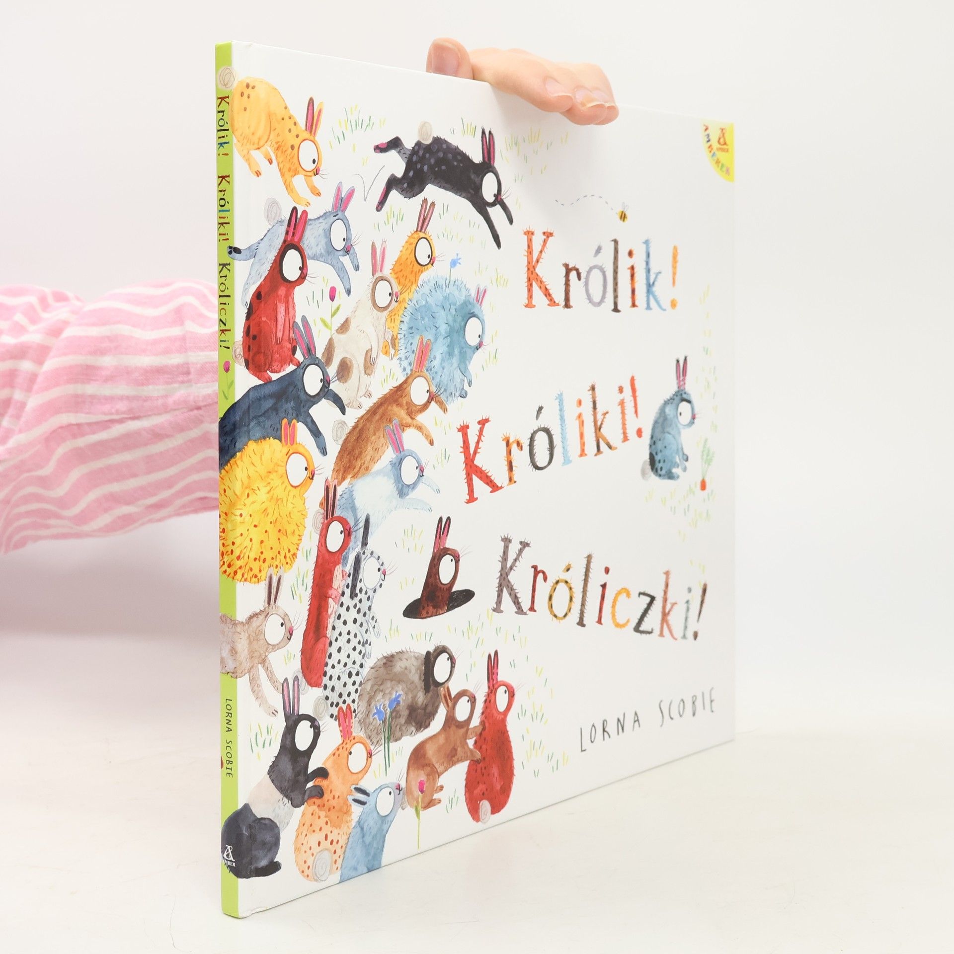 Królik! Króliki! Króliczki!