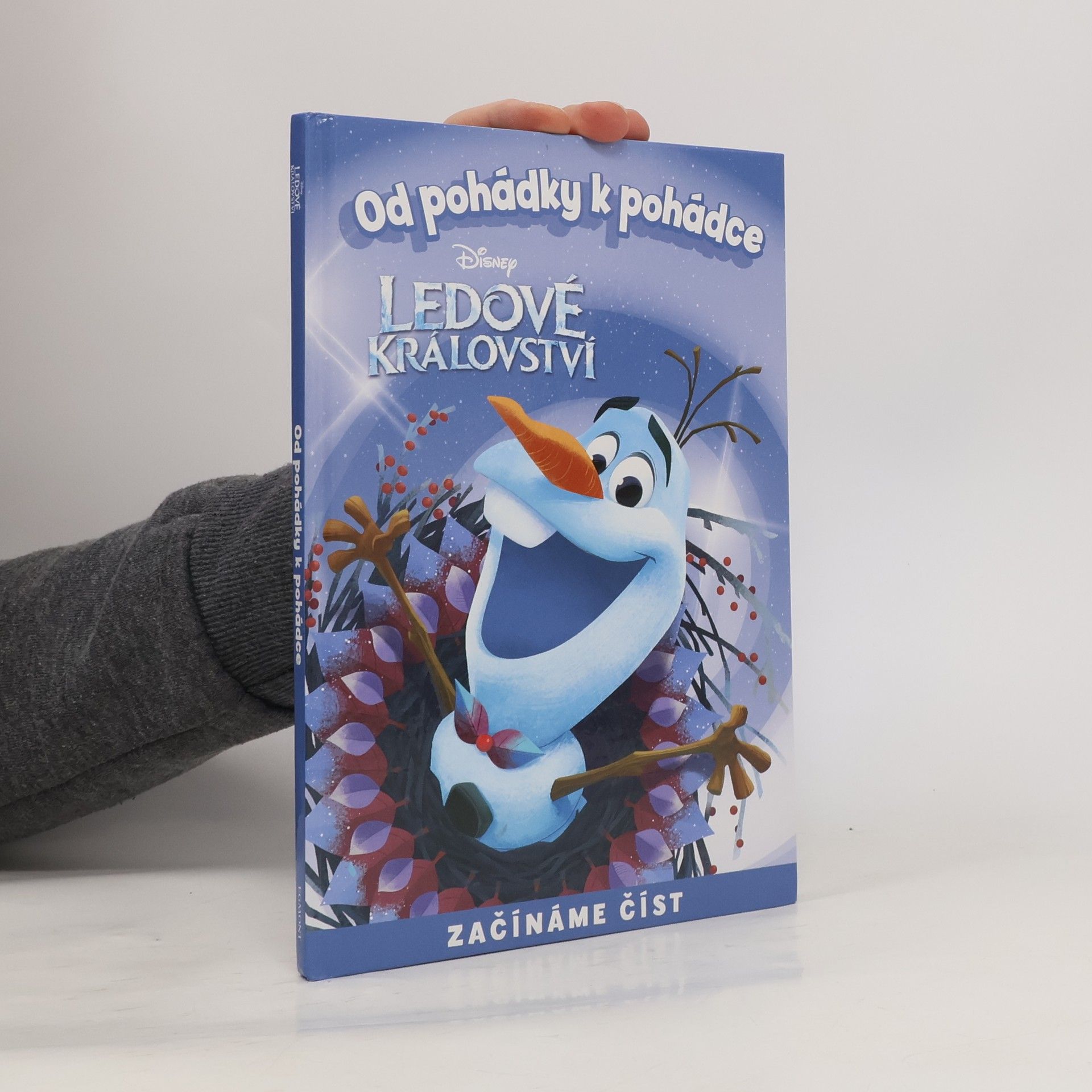 Autorenkollektiv Od pohádky k pohádce. Ledové království