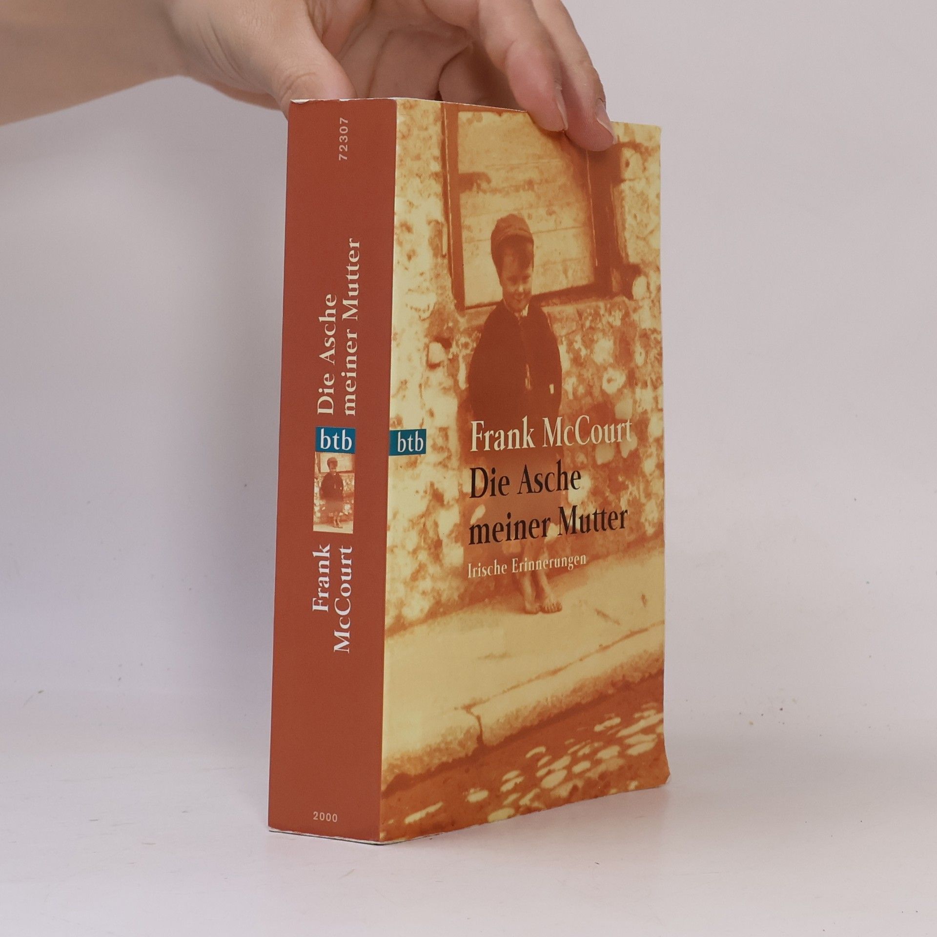 Frank McCourt Die Asche meiner Mutter