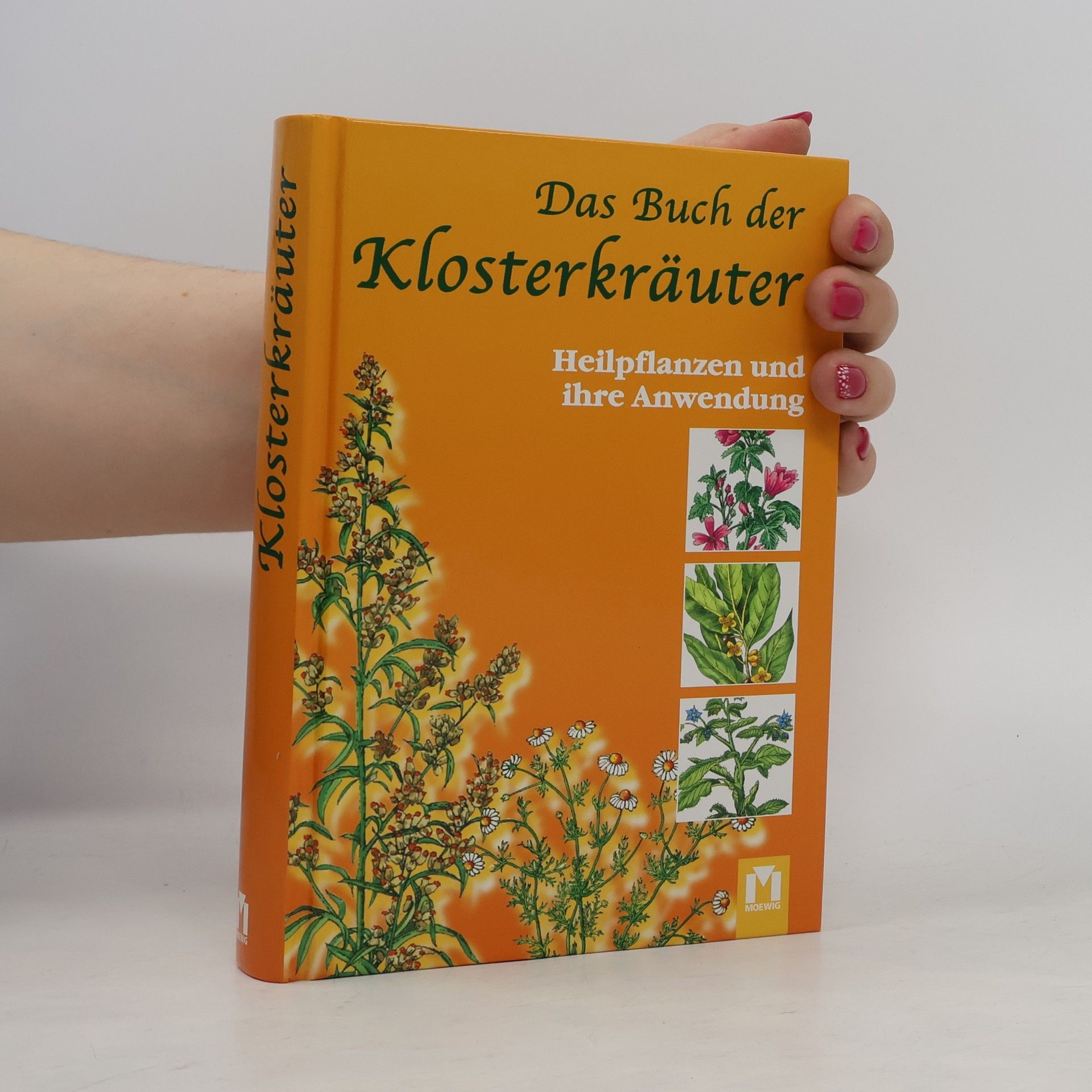 Heidelore Kluge Das Buch der Klosterkräuter