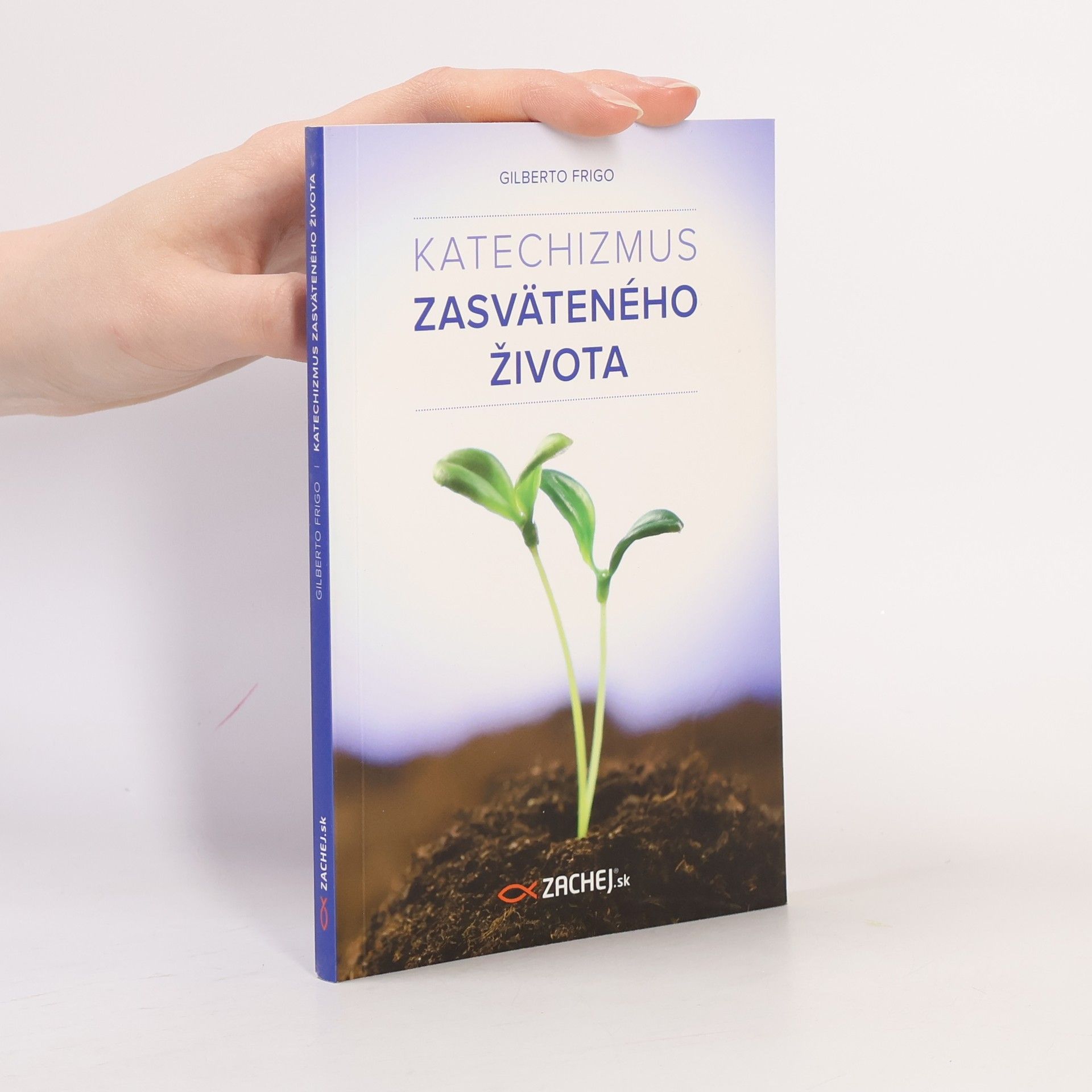 Gilberto Frigo Katechizmus zasväteného života