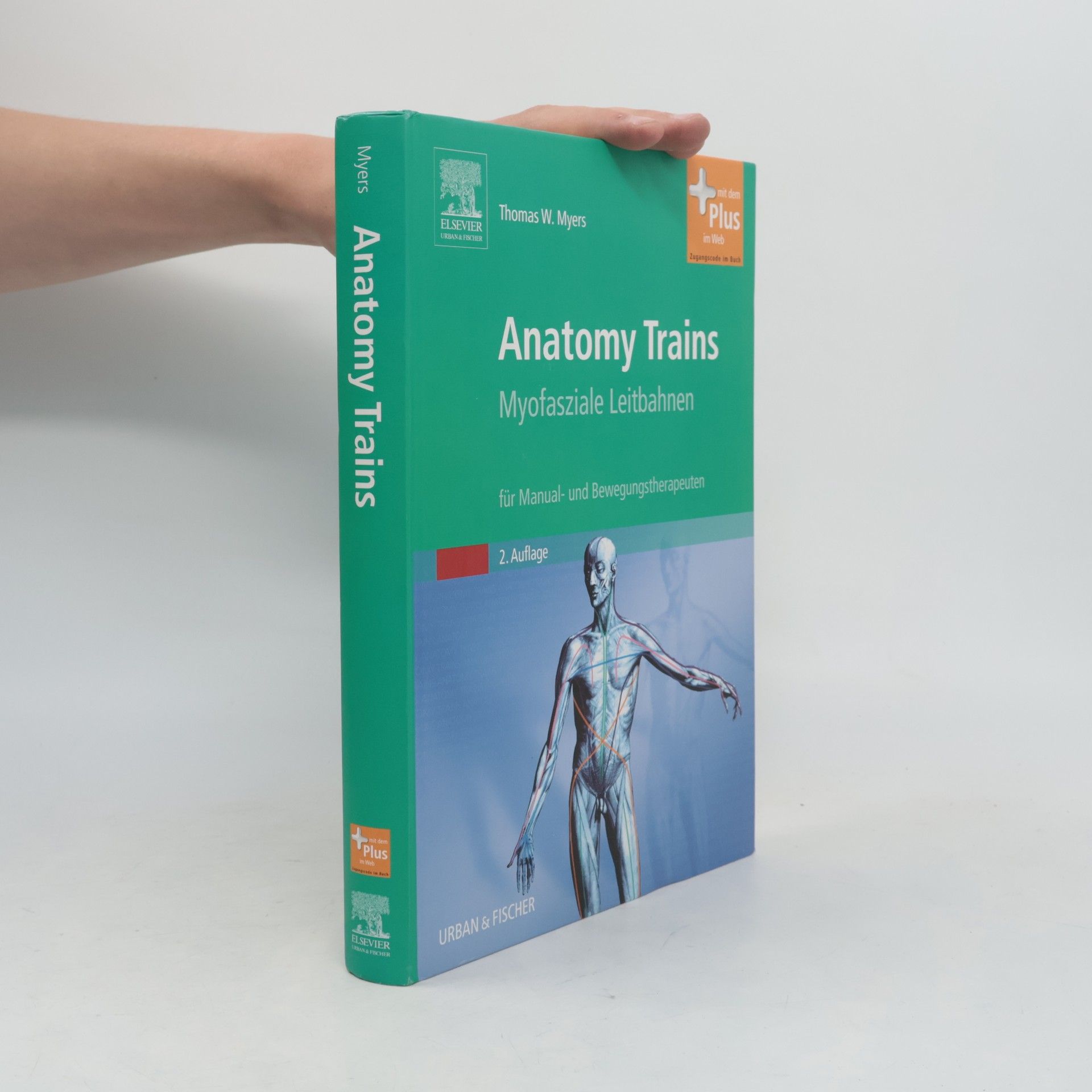 Thomas W. Myers Anatomy trains