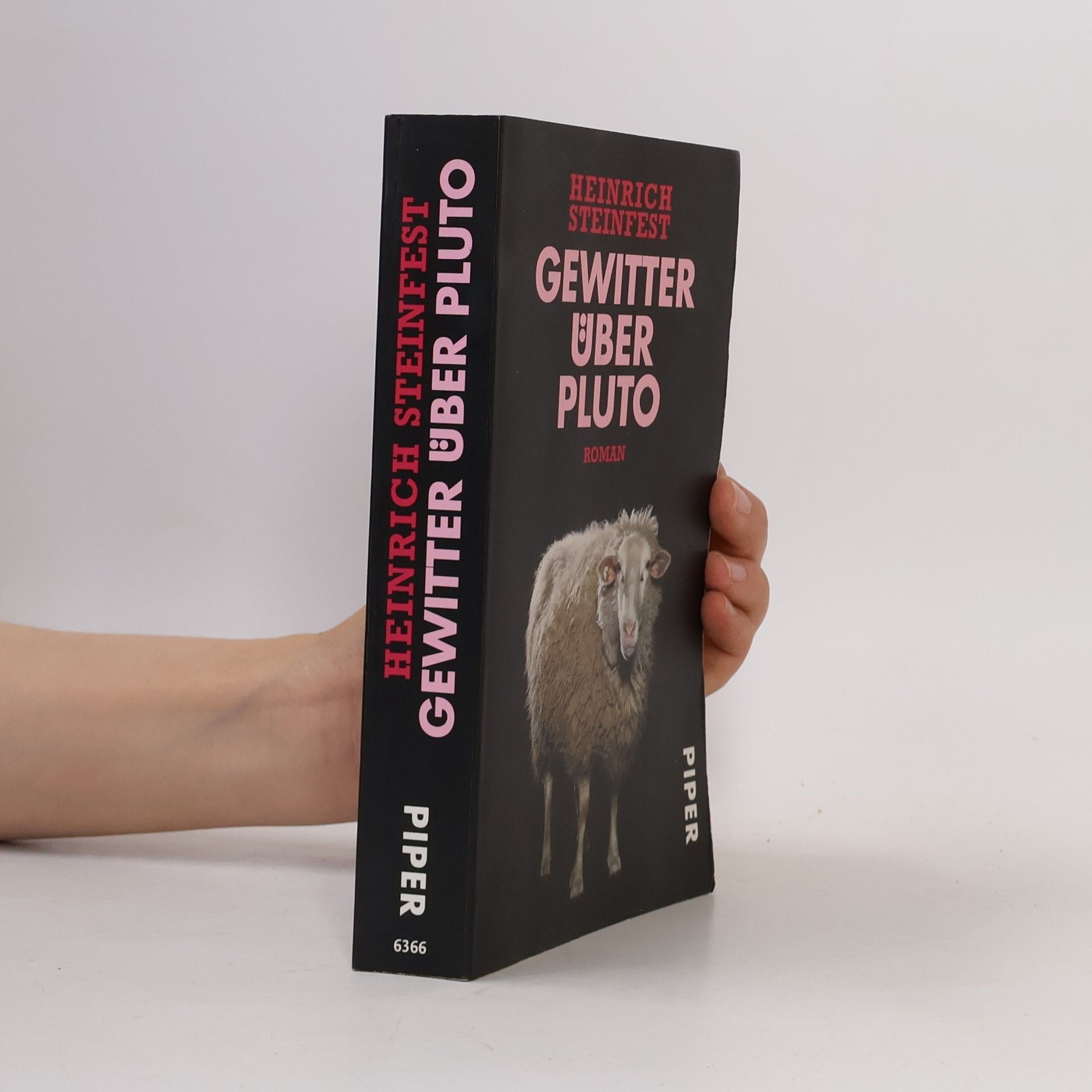 Heinrich Steinfest Gewitter über Pluto