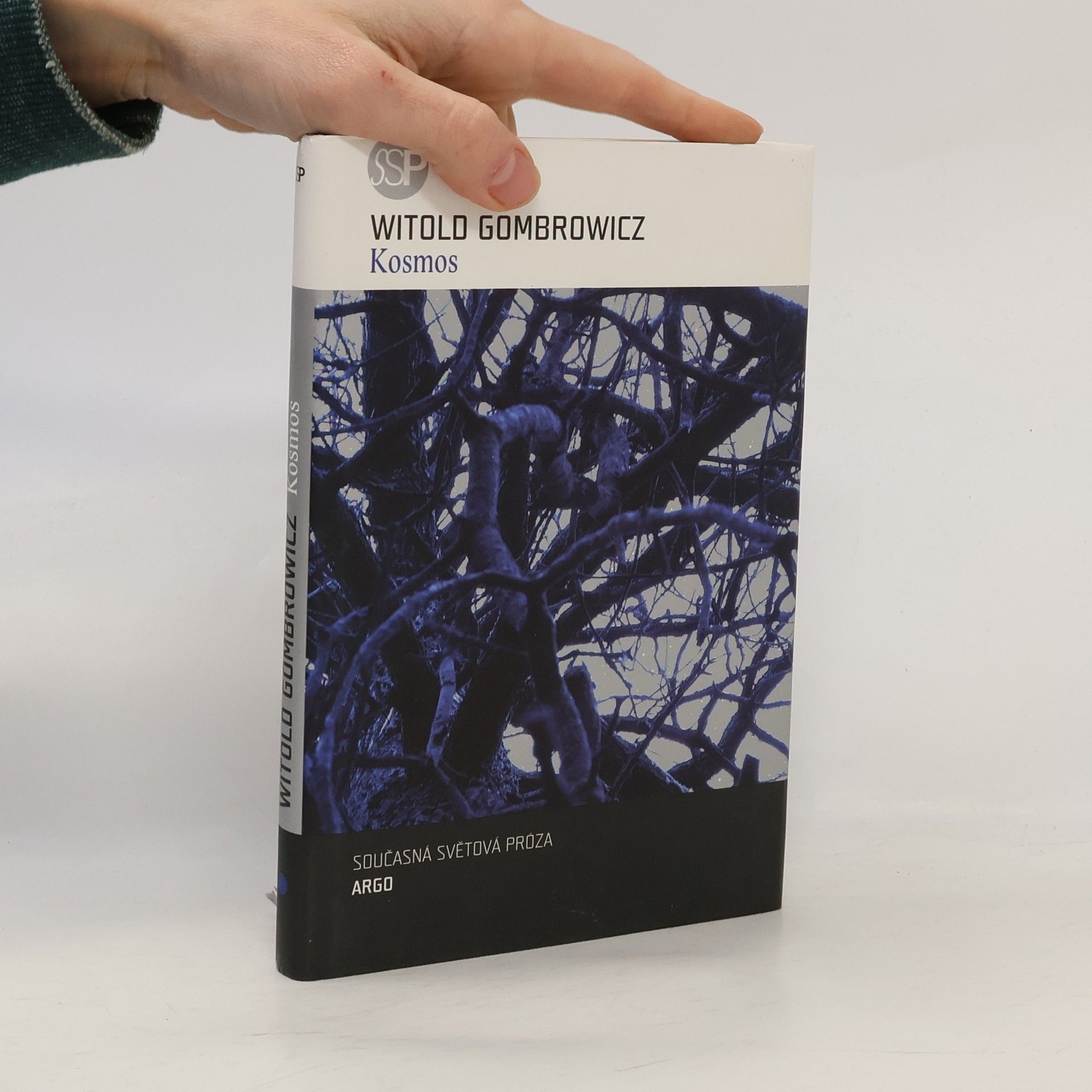 Witold Gombrowicz Kosmos