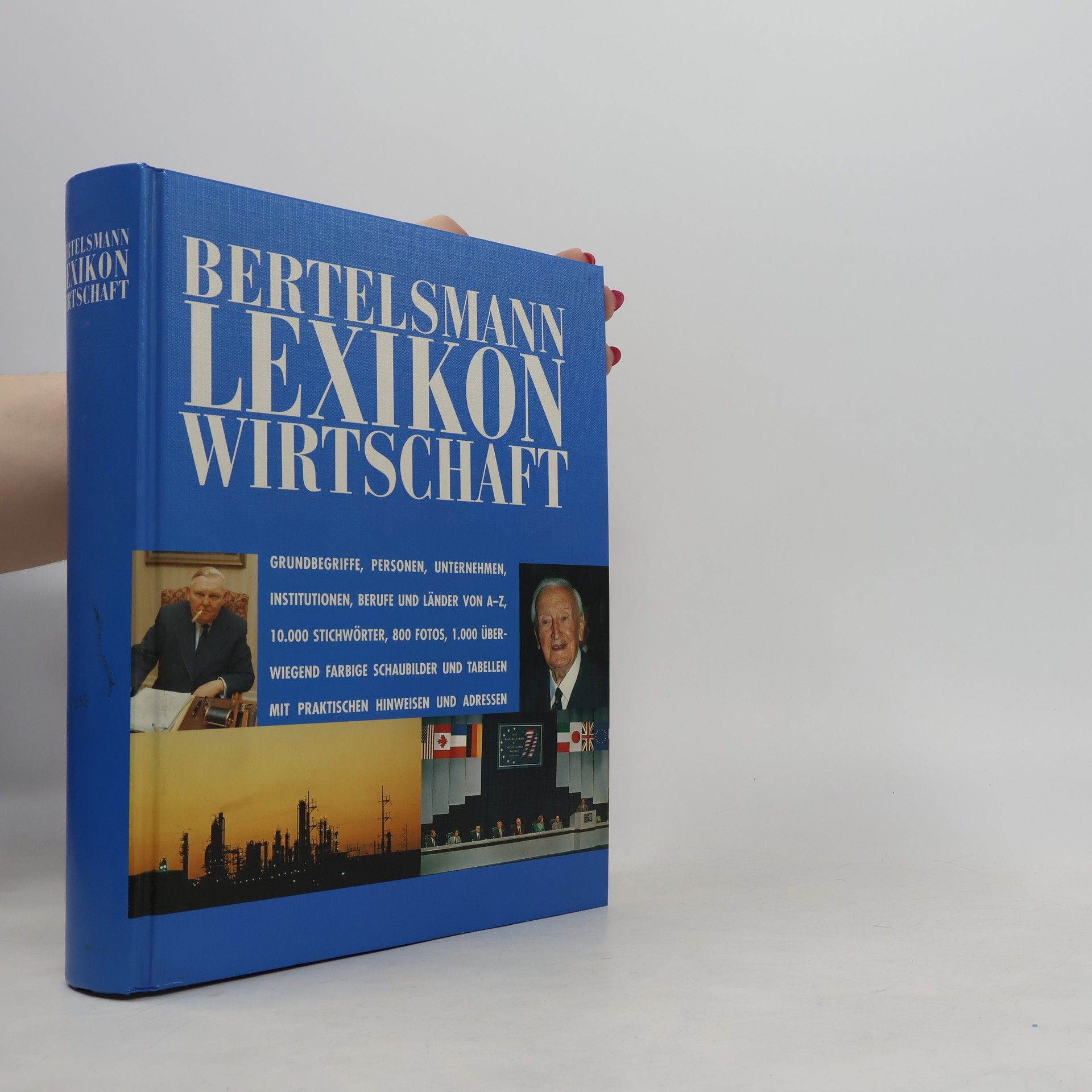 Kolektiv autorů Bertelsmann-Lexikon Wirtschaft
