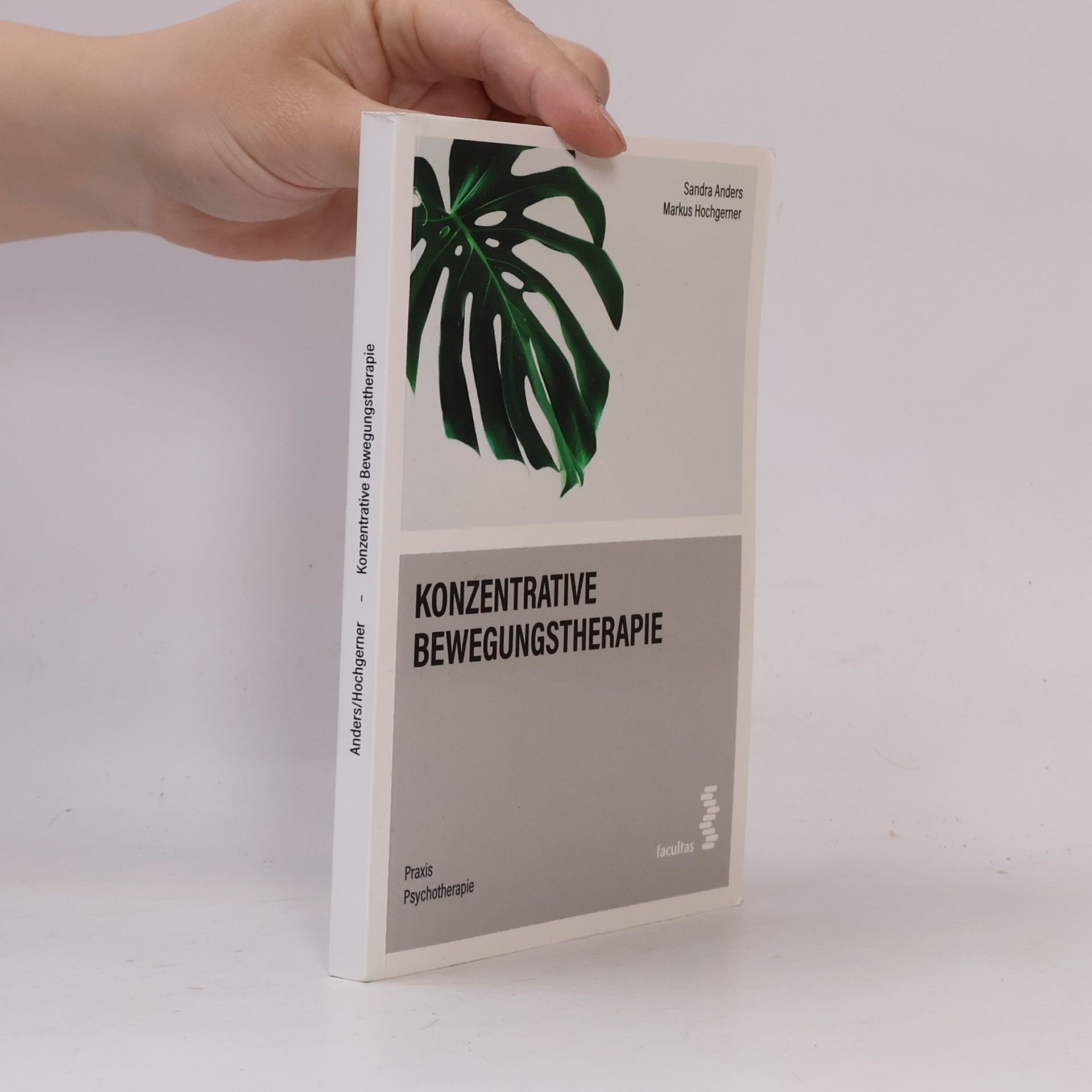 Konzentrative Bewegungstherapie