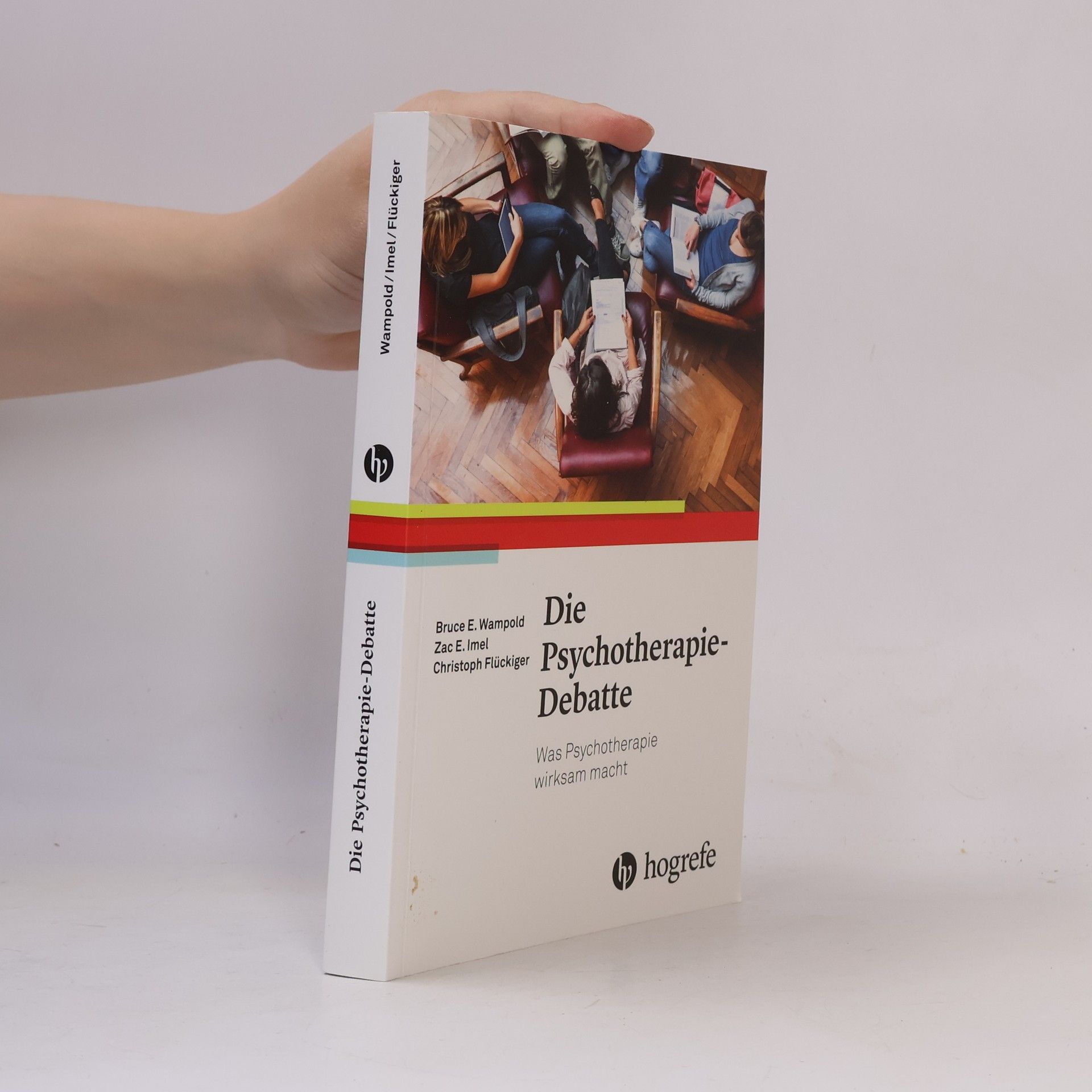 Bruce E. Wampold Die Psychotherapie-Debatte