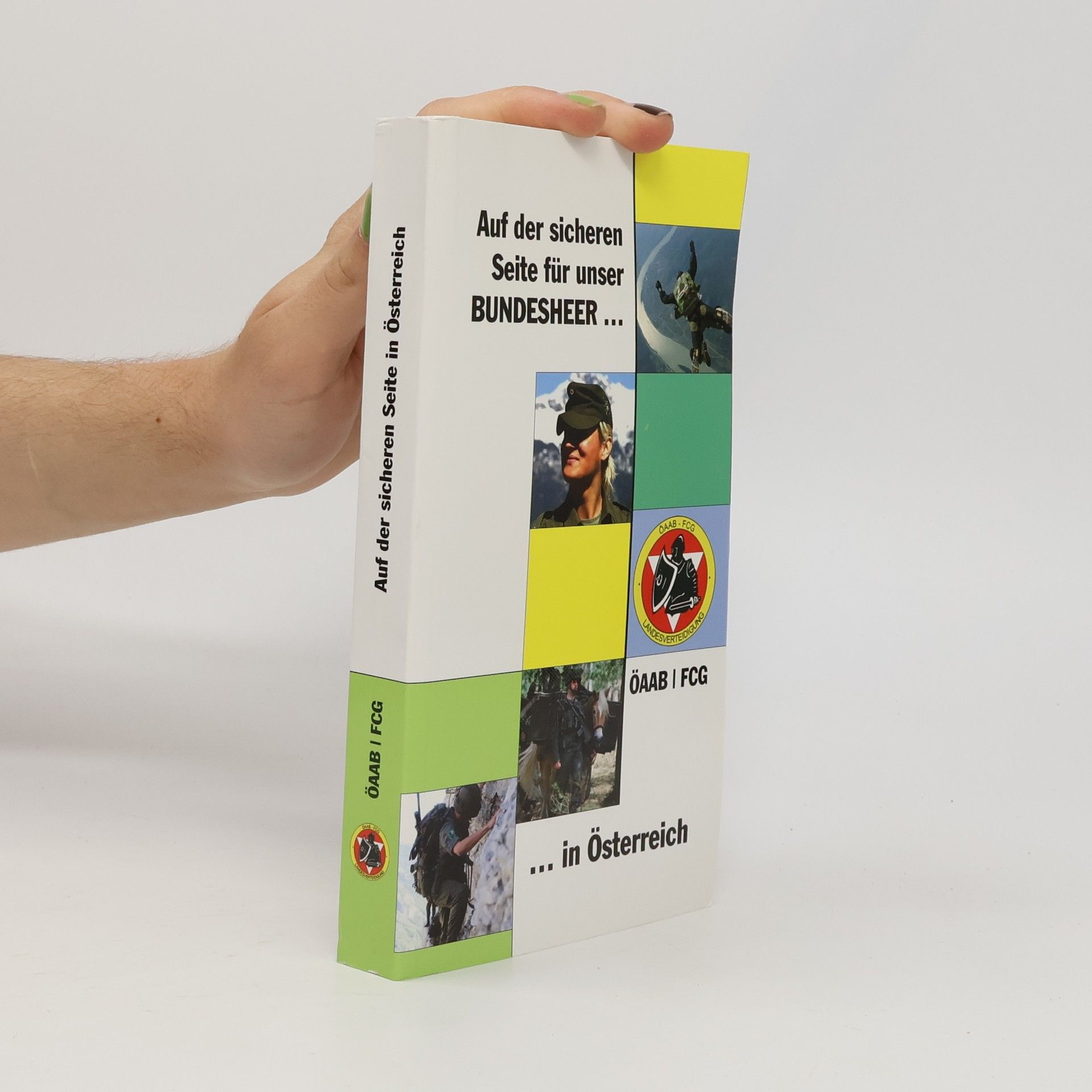 Autorenkollektiv Auf der sicheren Seite in Österreich