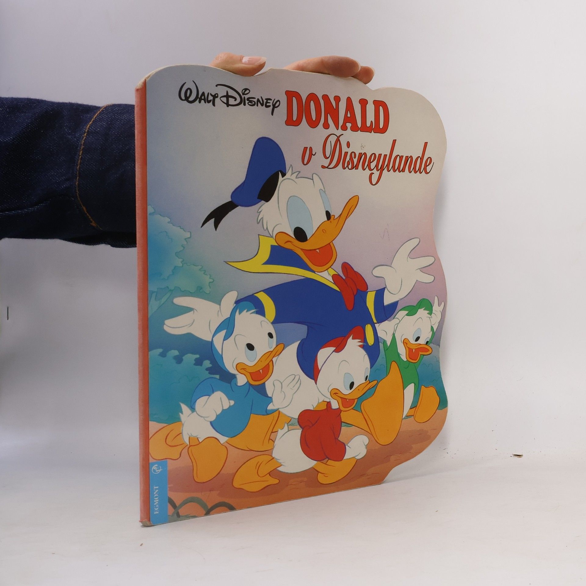 Walt Disney Donald v Disneylande