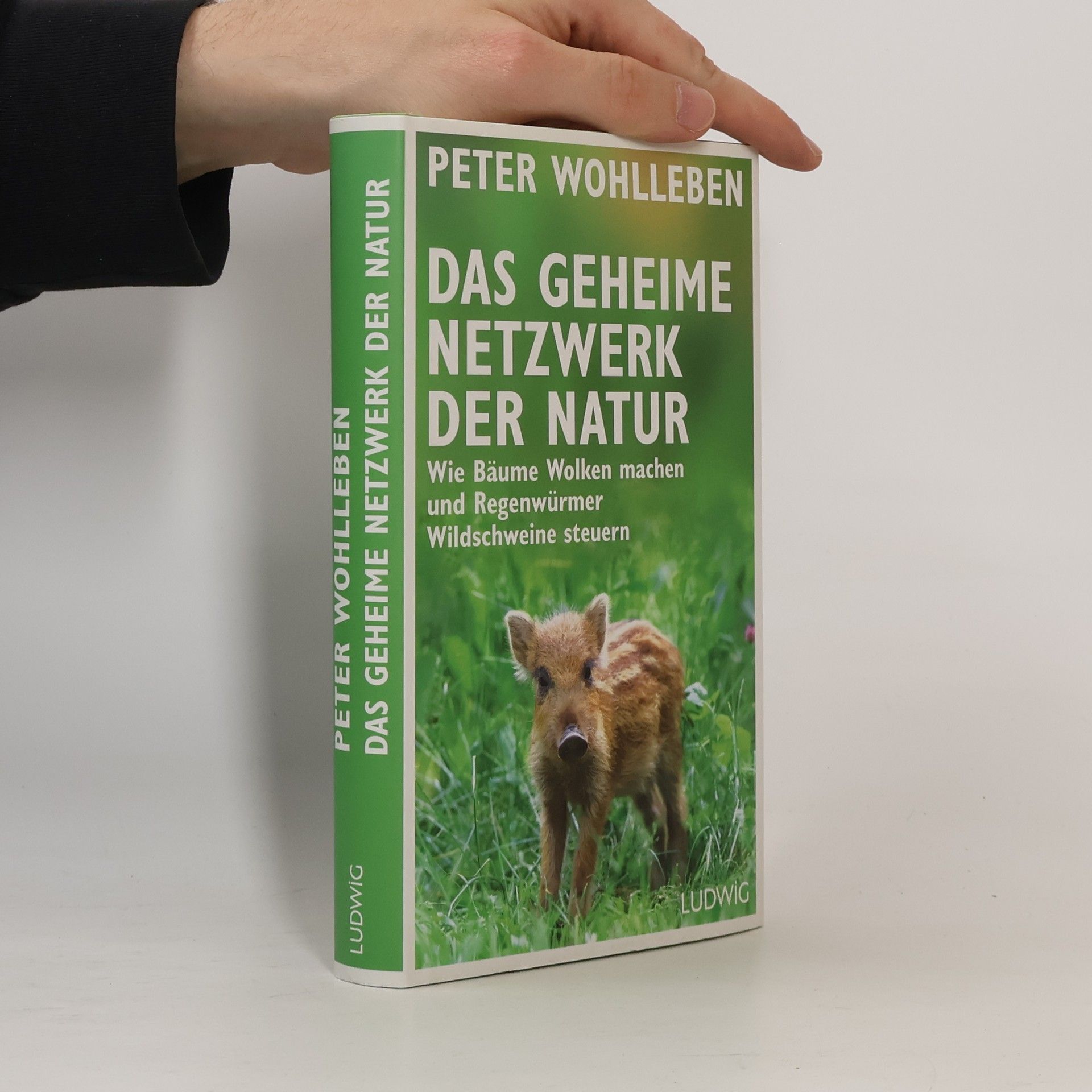 Peter Wohlleben Das geheime Netzwerk der Natur