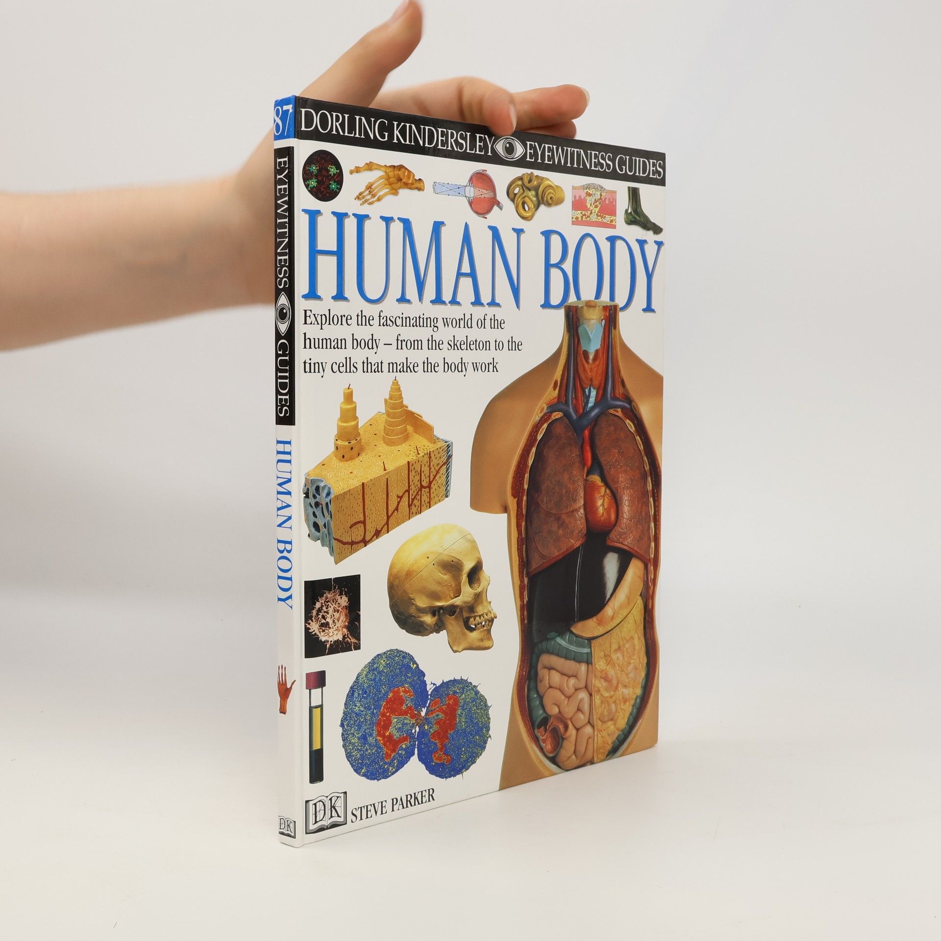 Human Body