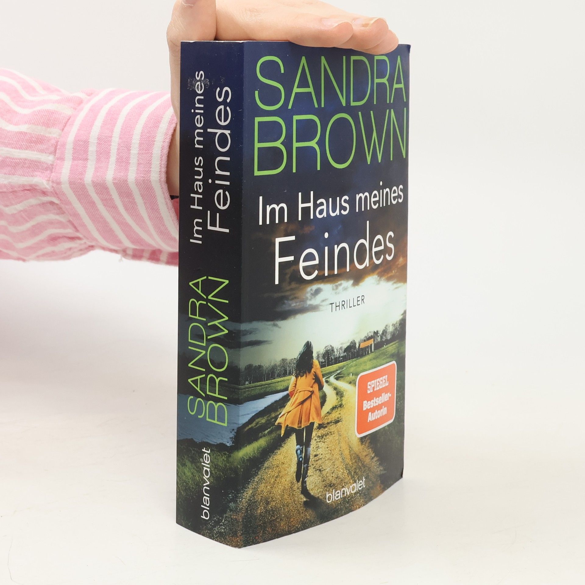 Sandra Brown Im Haus meines Feindes