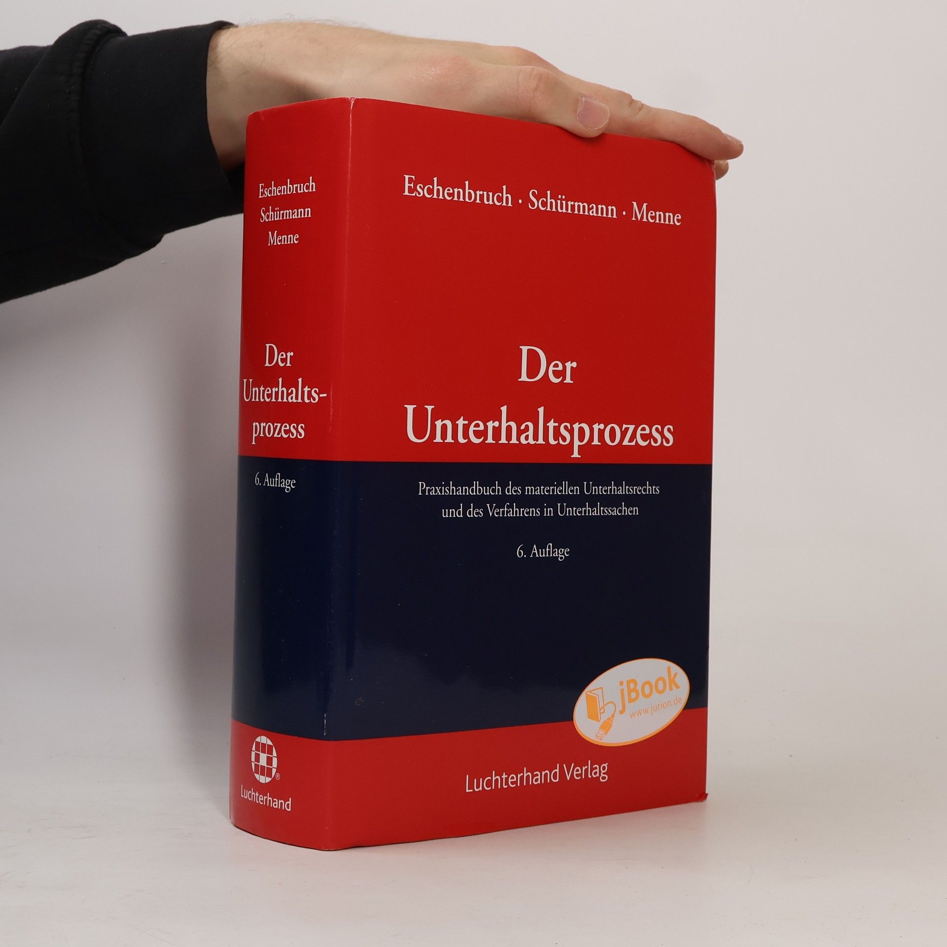 Menne Der Unterhaltsprozess - 6. Auflage