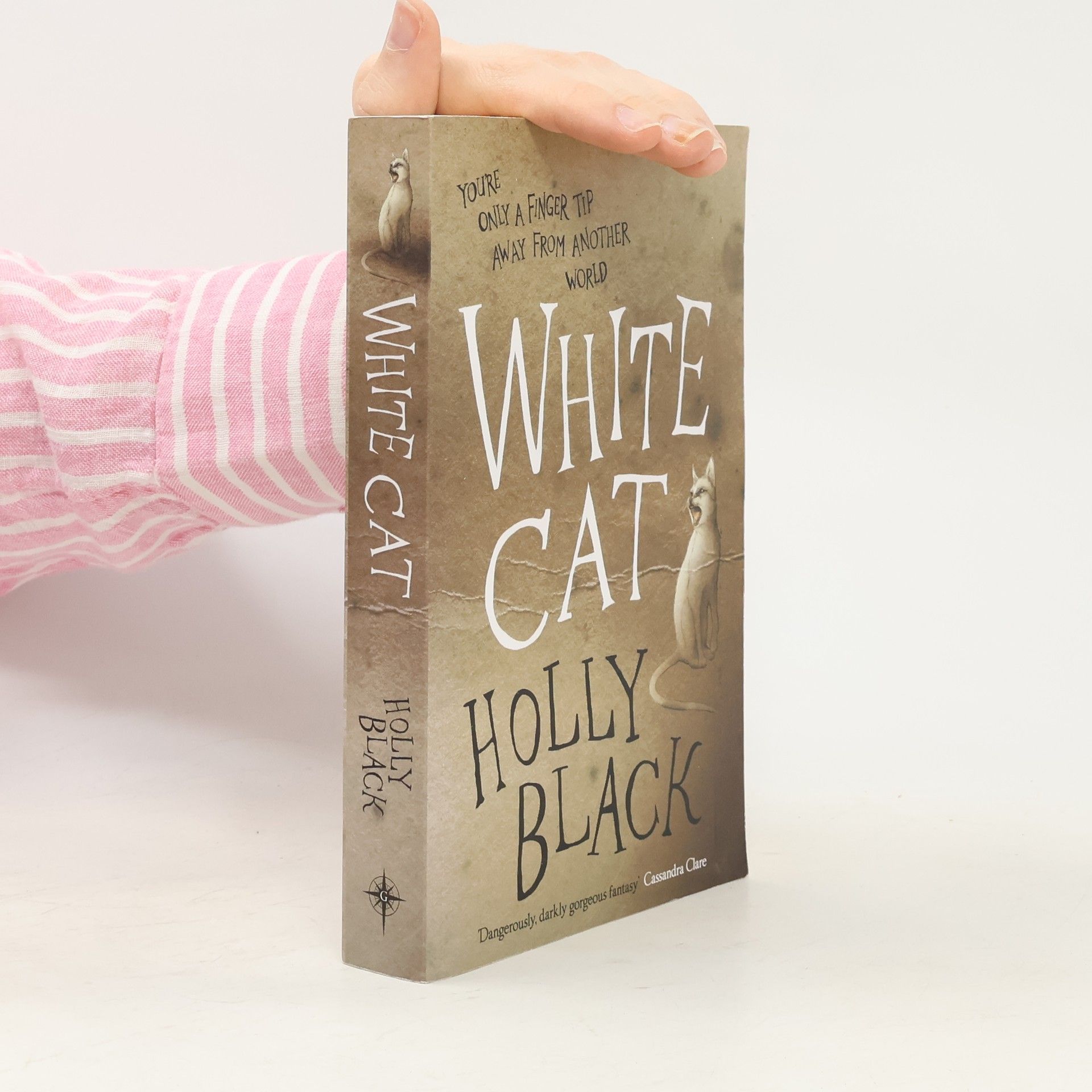 White Cat. Weißer Fluch, englische Ausgabe