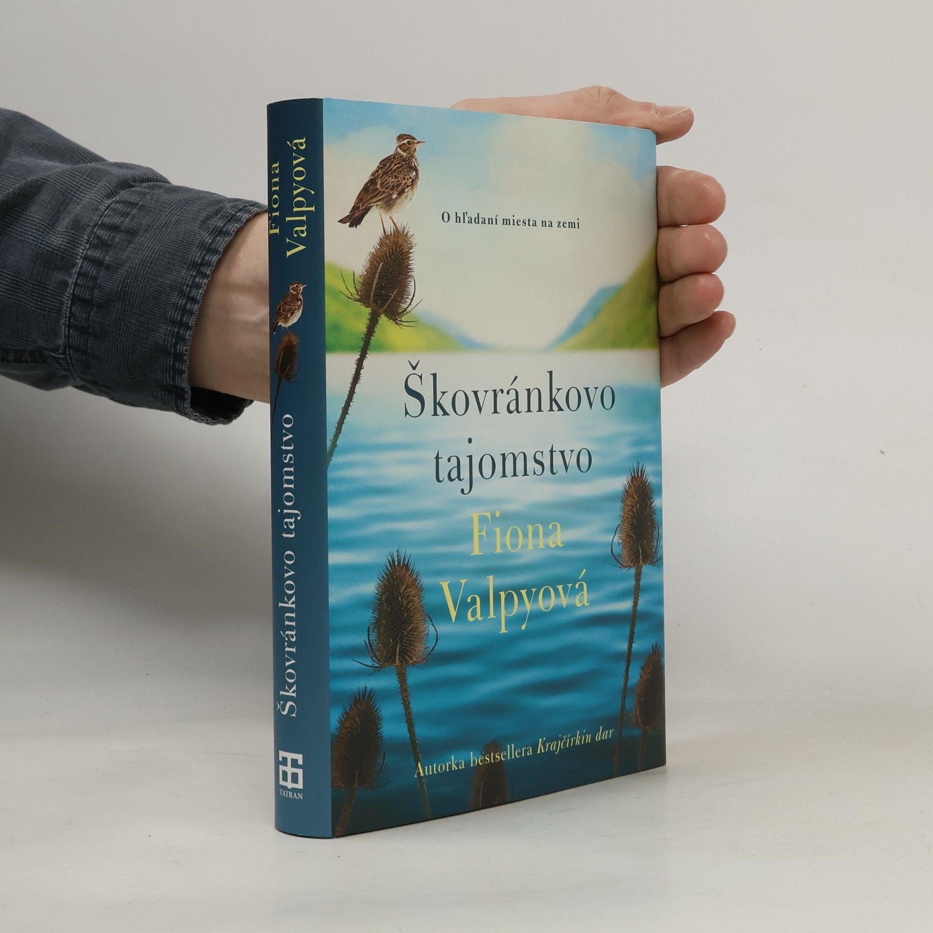 Fiona Valpy Škovránkovo tajomstvo