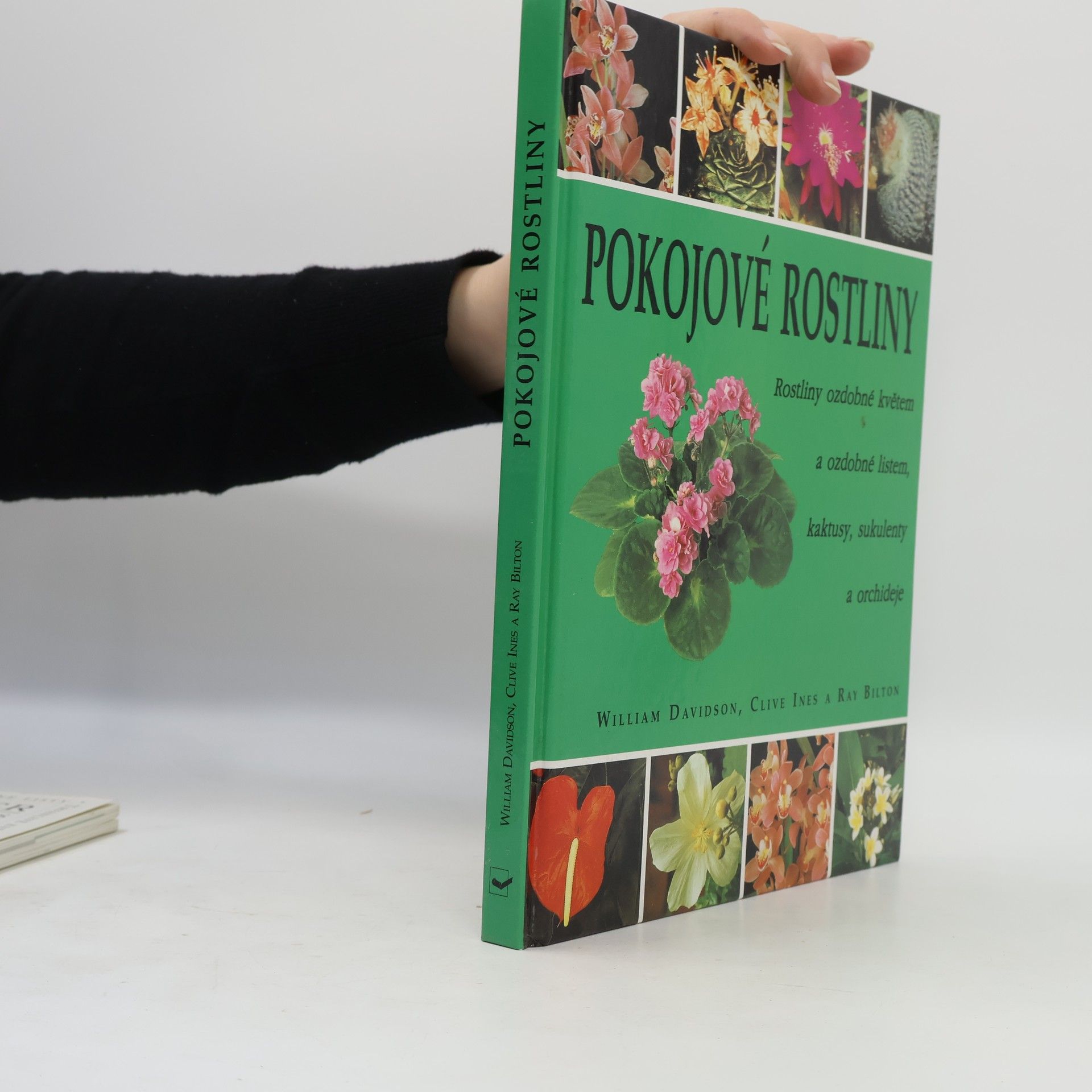 Ray Bilton Pokojové rostliny: Rostliny ozdobné květem a ozdobné listem, kaktusy, sukulenty a orchideje