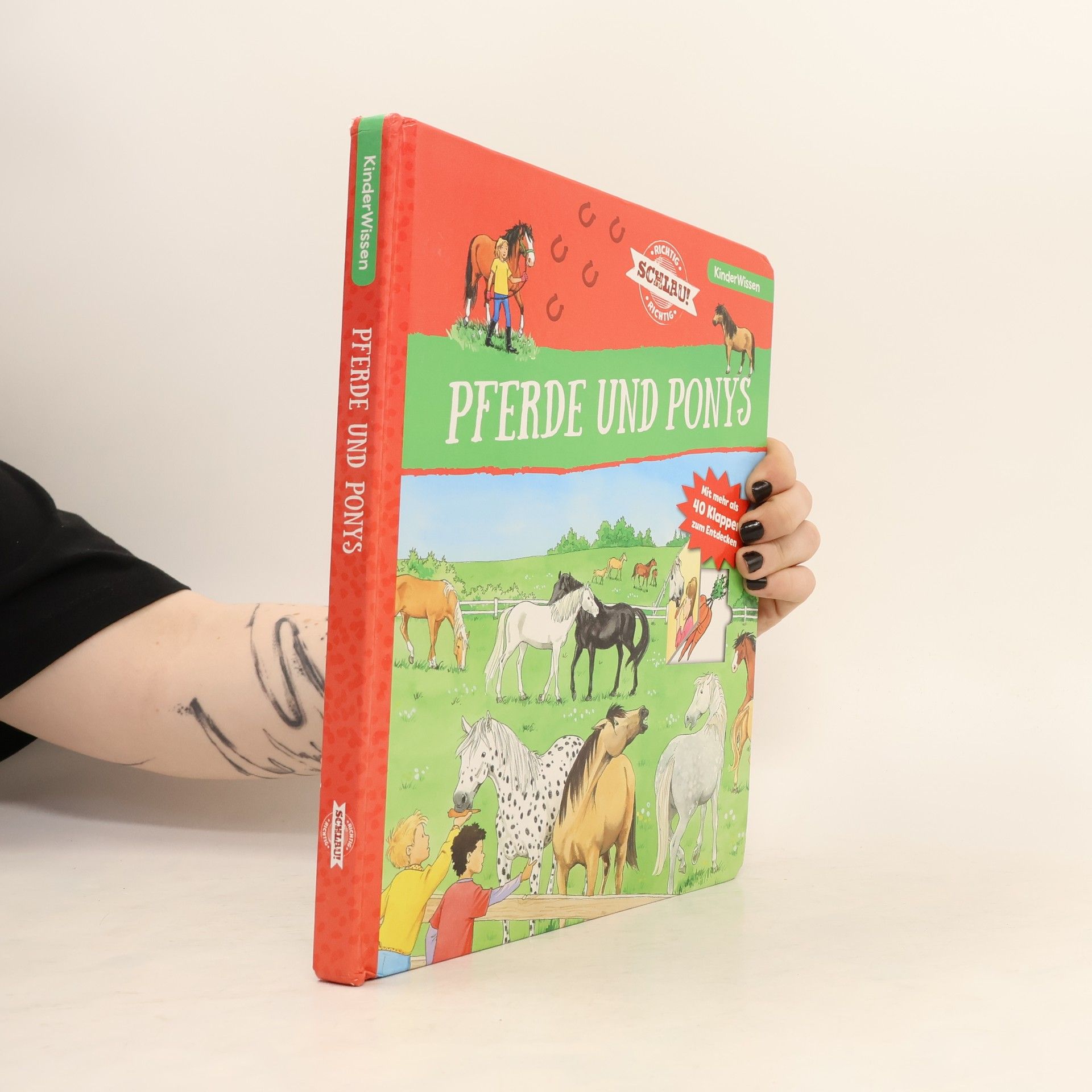 Astrid Vohwinkel Pferde und Ponys