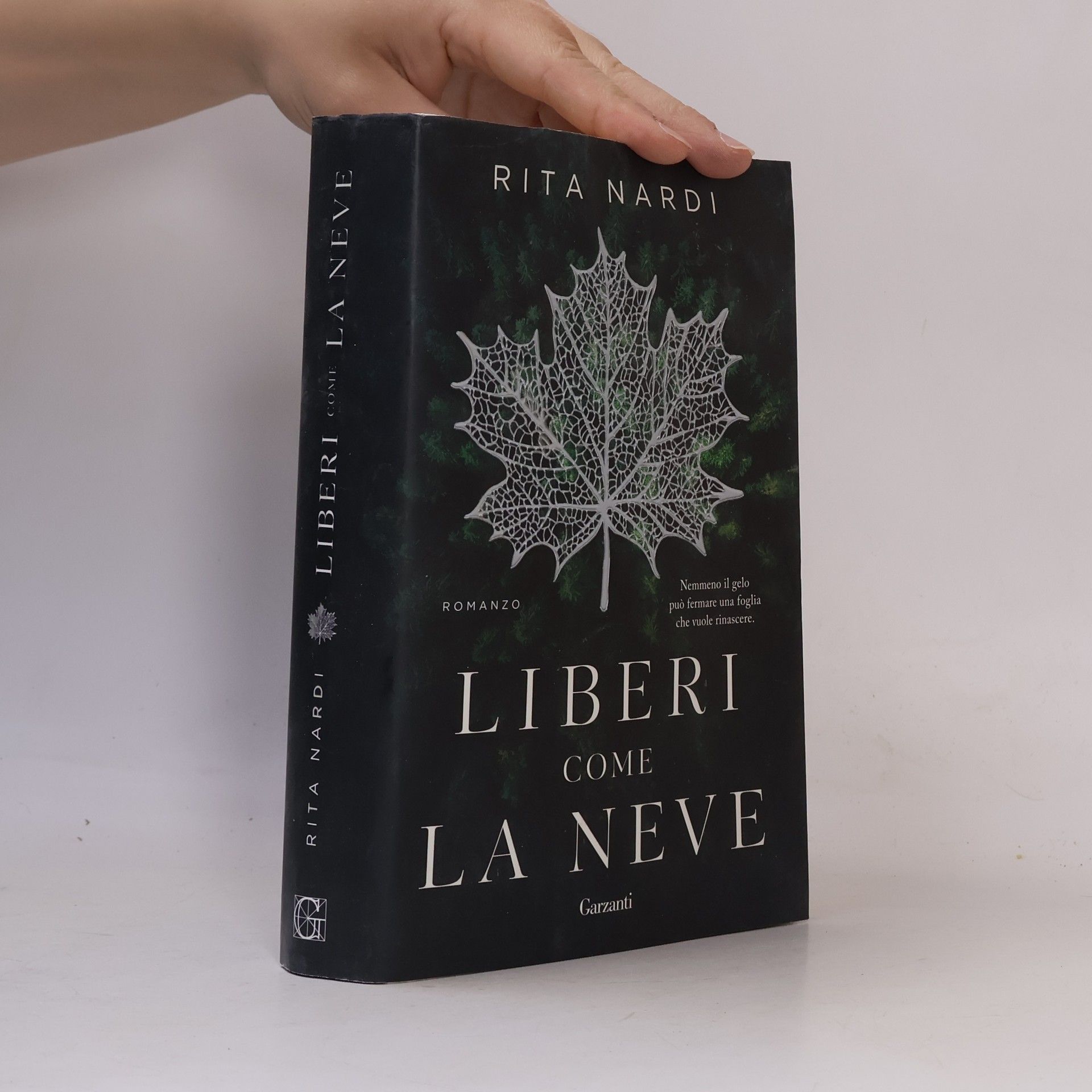 Rita Nardi Liberi come la neve