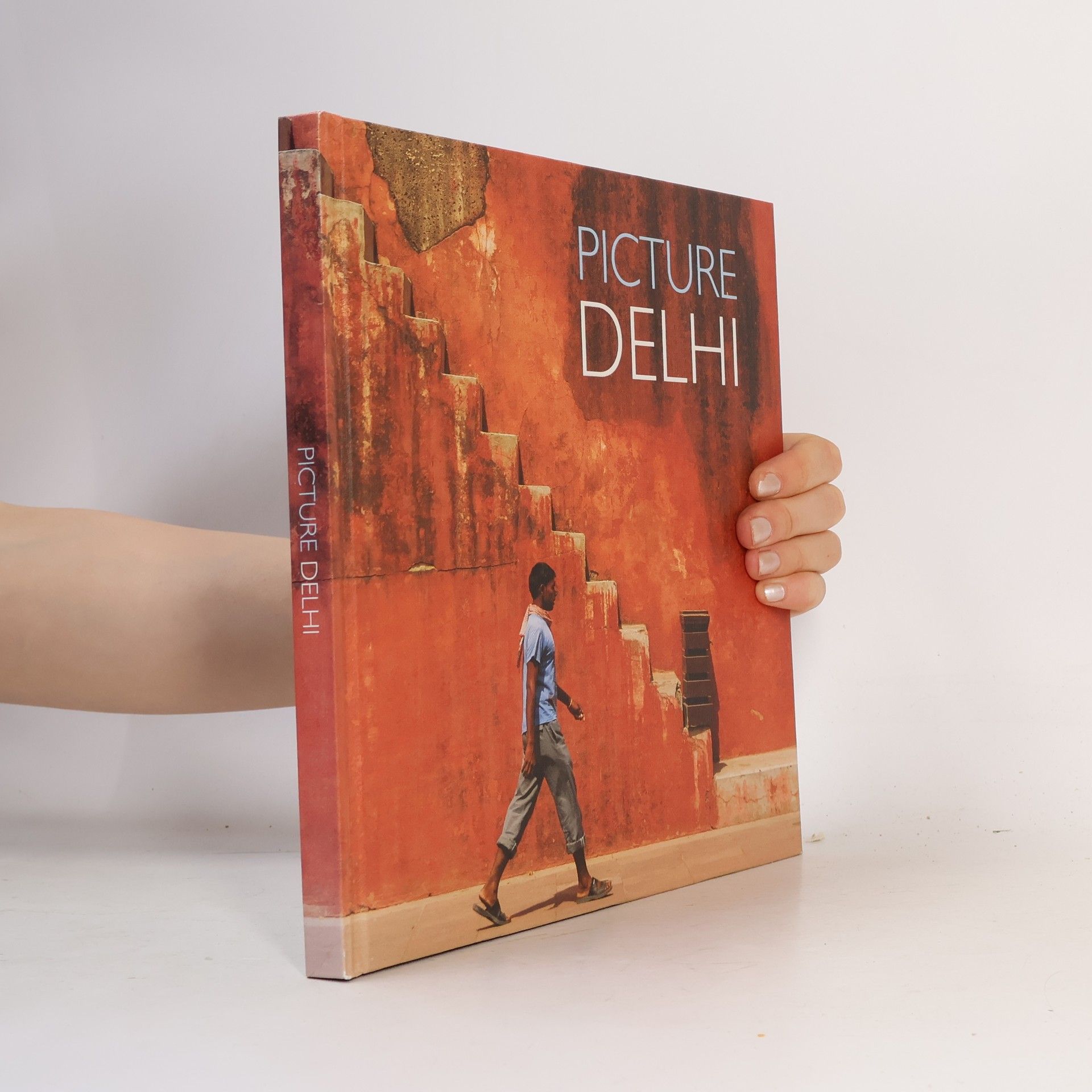 Autorenkollektiv Picture Delhi