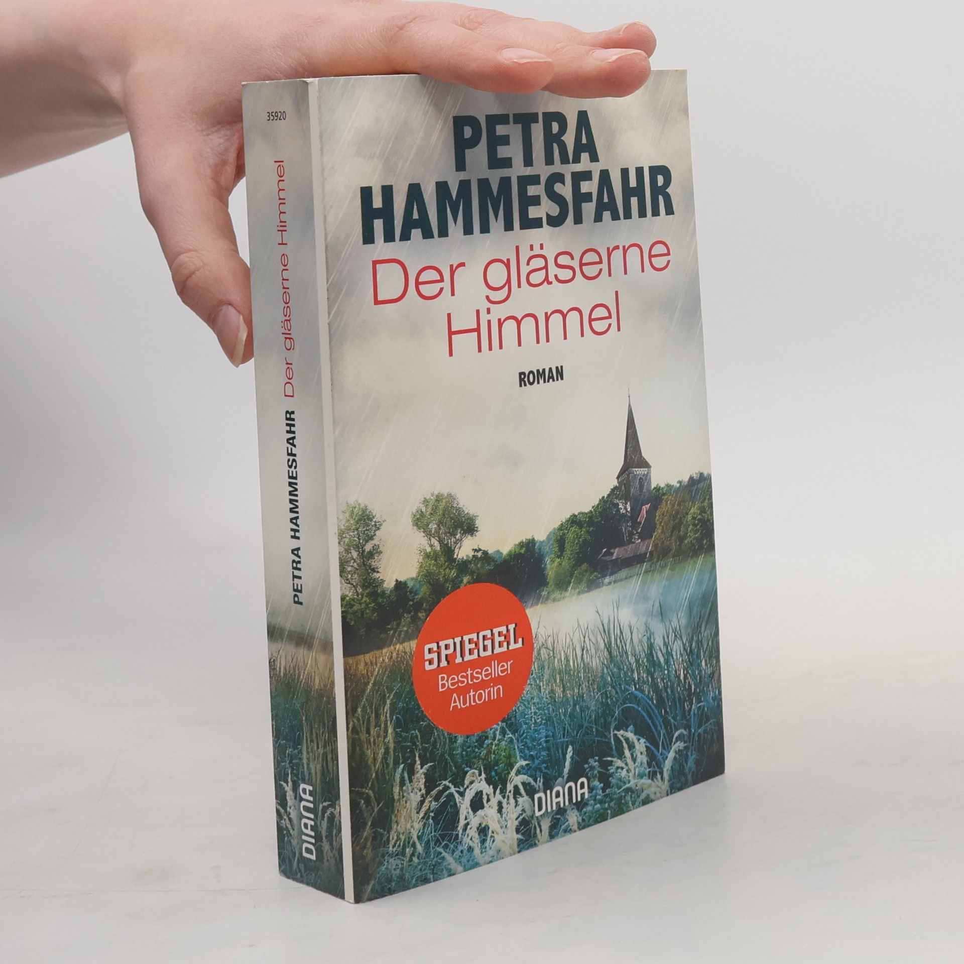 Petra Hammesfahr Der gläserne Himmel