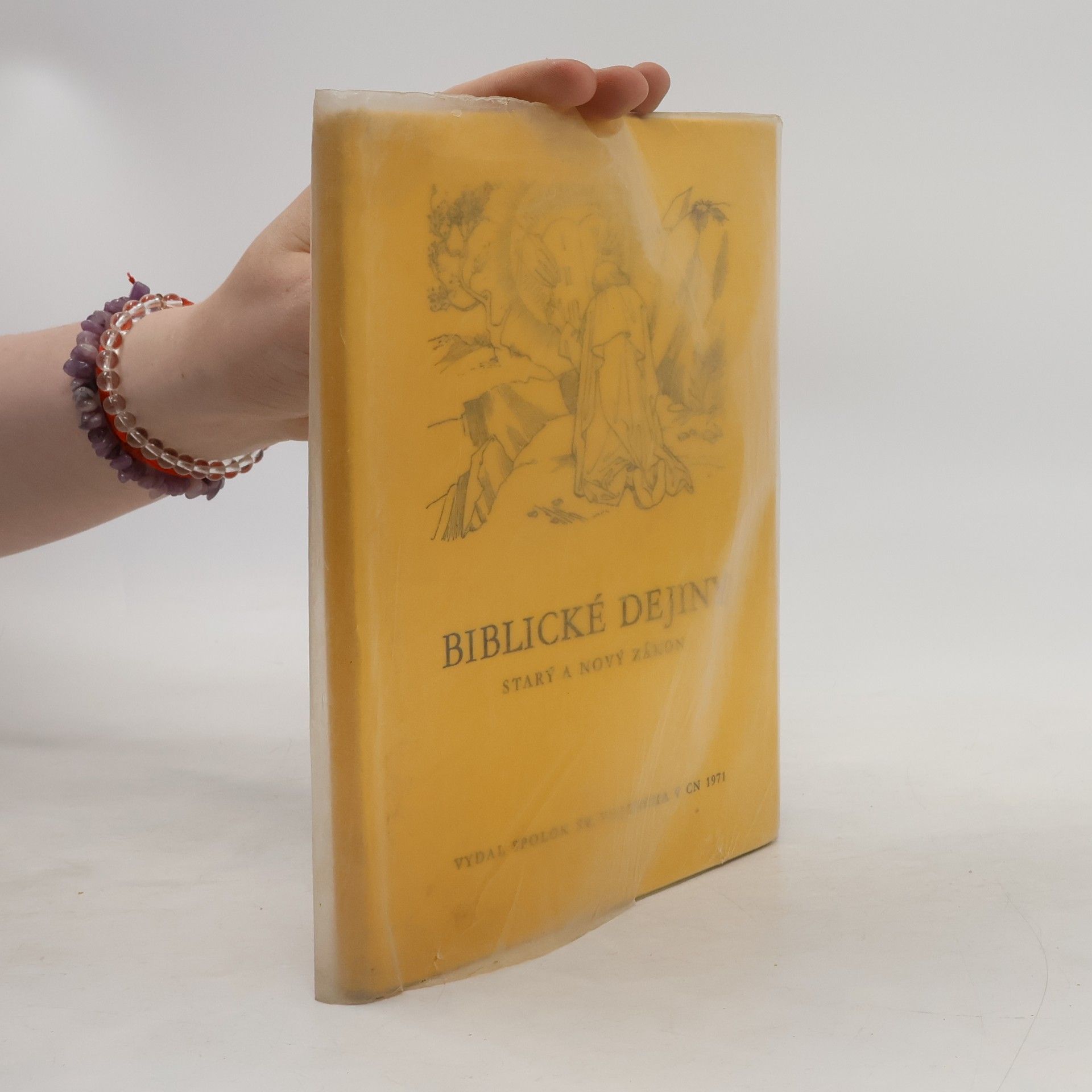Autorenkollektiv Biblické dejiny