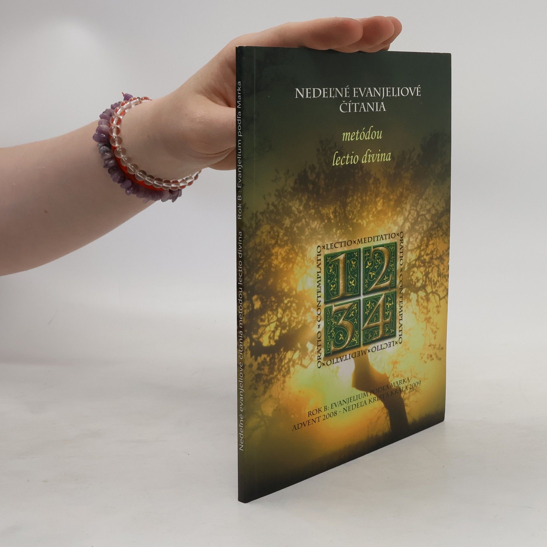 Autorenkollektiv Nedeľné evanjeliové čítania metódou lectio divina. Rok B