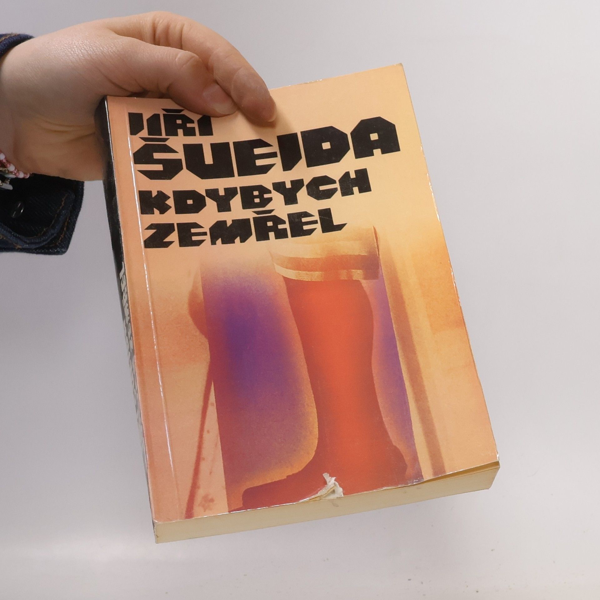 Jiří Švejda Kdybych zemřel