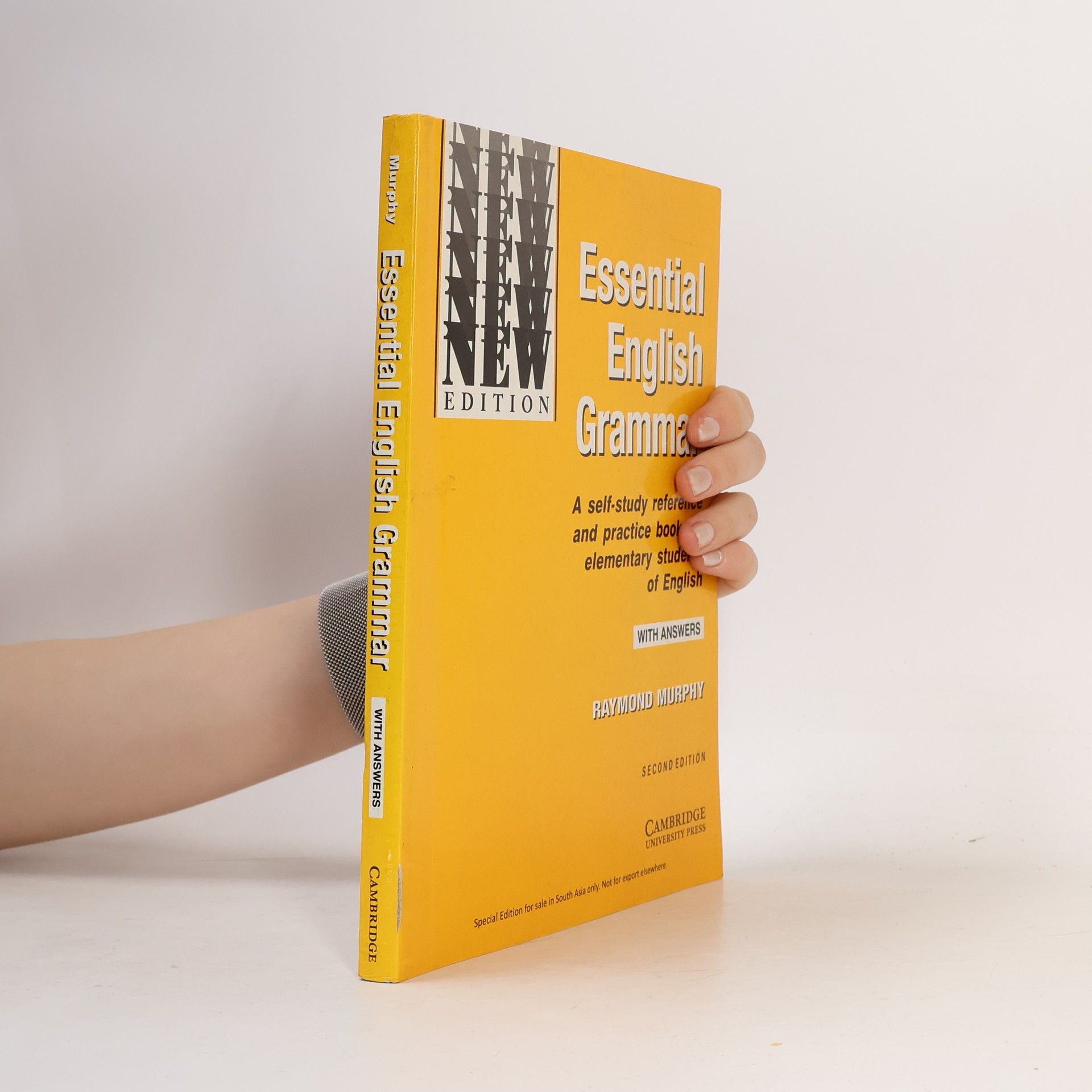 Raymond Murphy Essential English Grammar