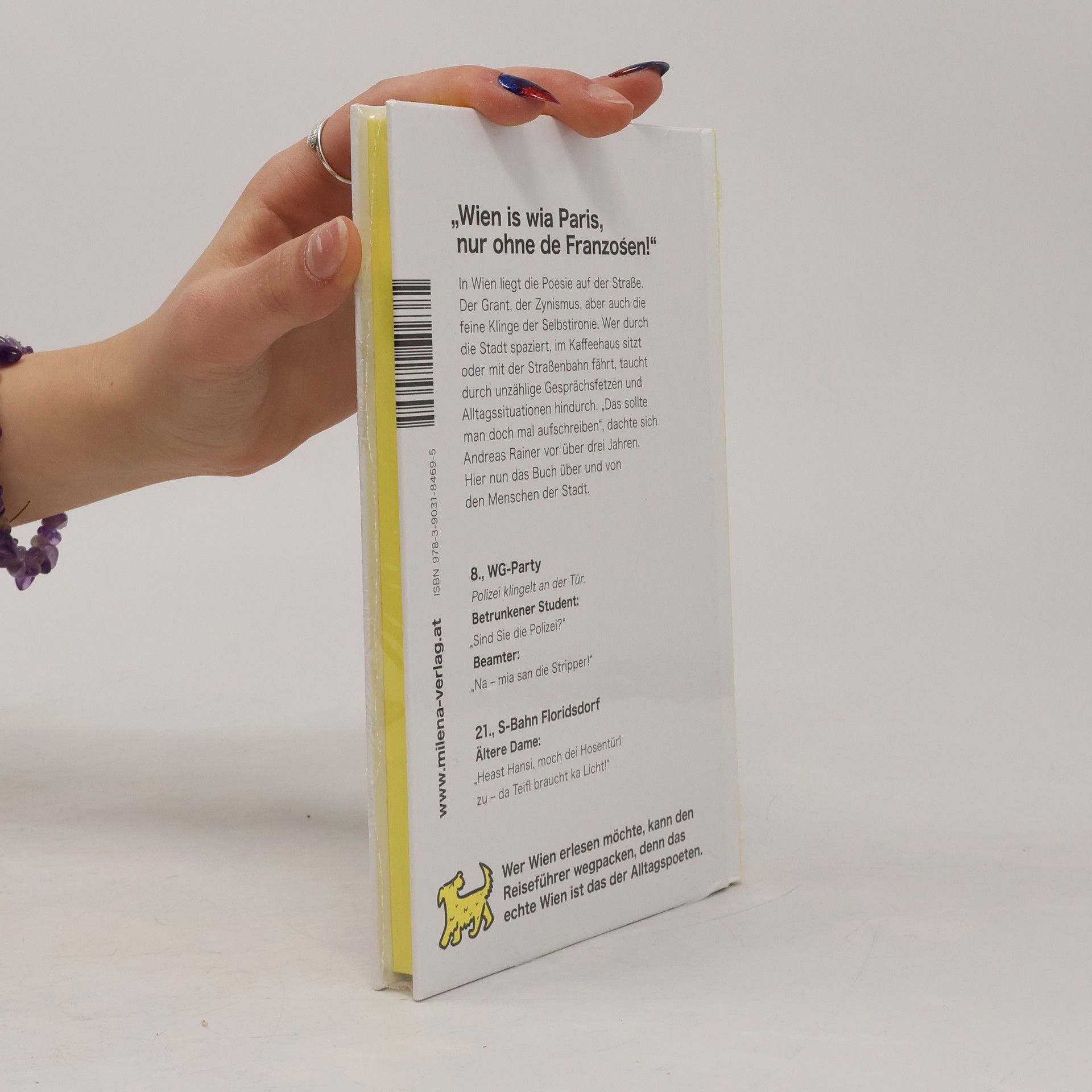 Andreas Rainer Wiener Alltags Poeten
