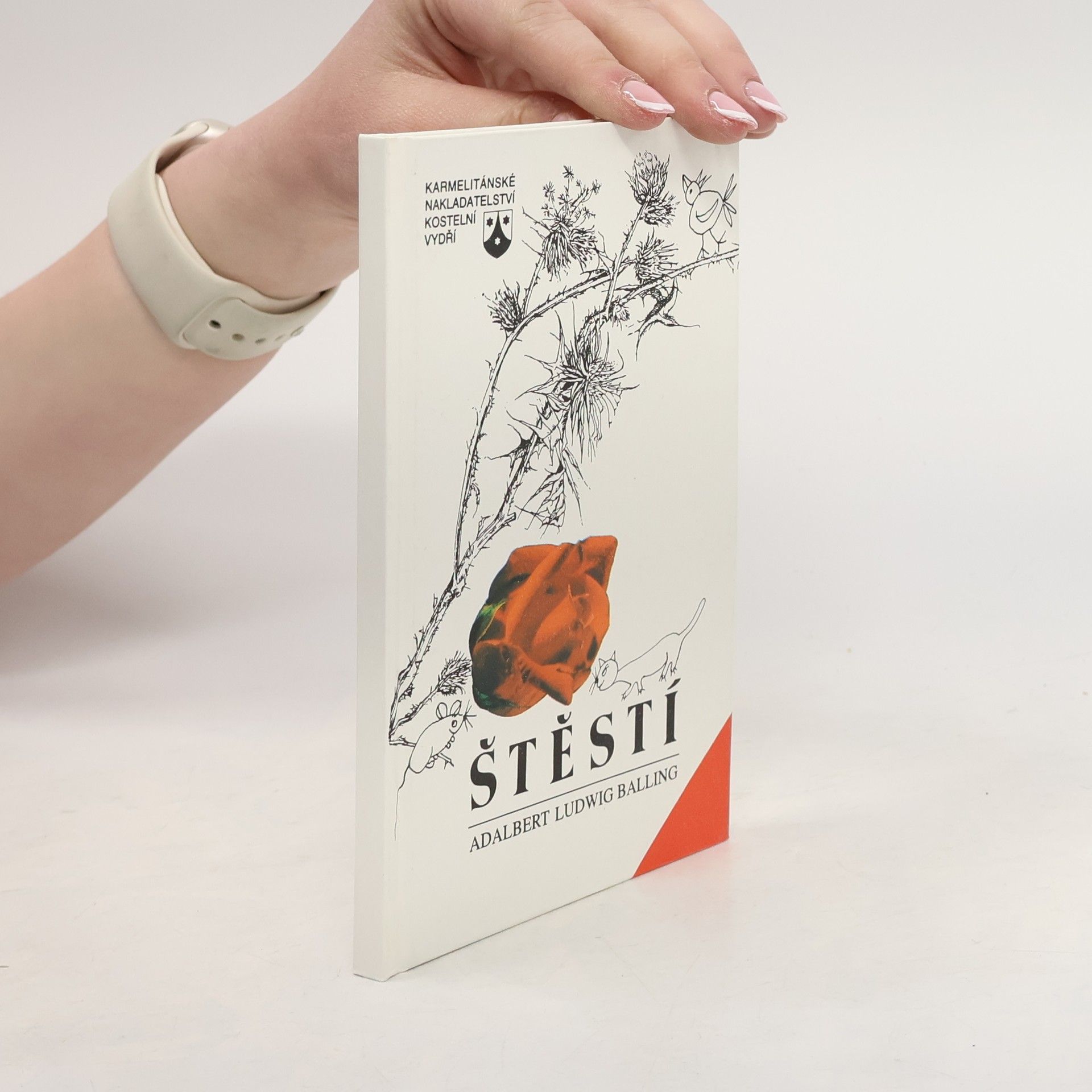 Štěstí