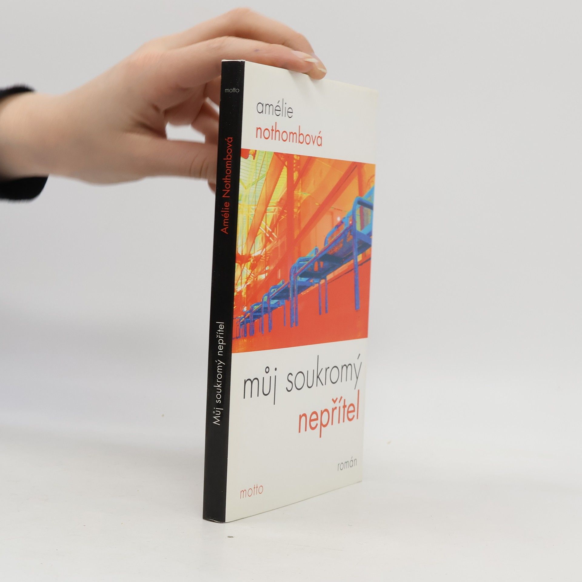 Amélie Nothomb Můj soukromý nepřítel